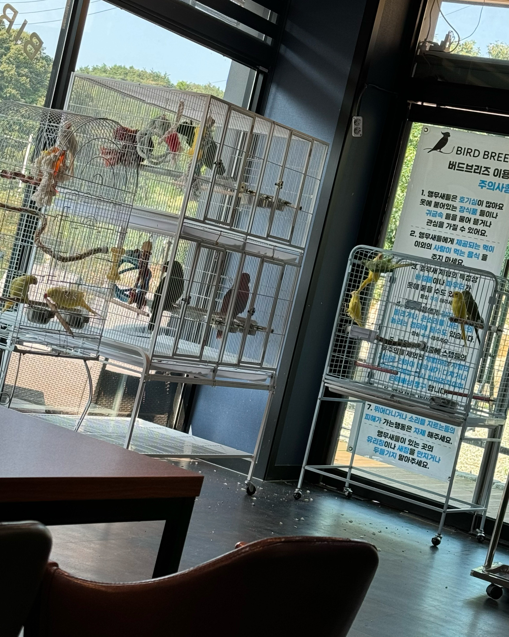 [삼척 맛집 버드브리즈] 직접 가본 로컬 리뷰