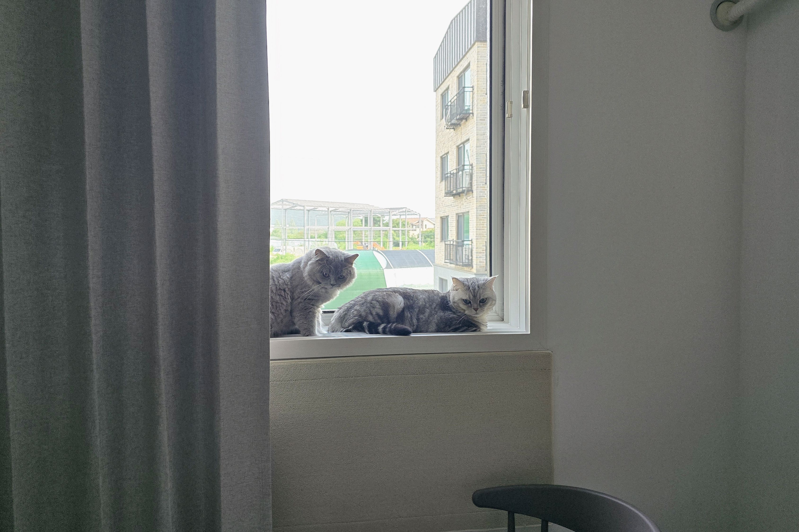 알프스동물병원 사진 4