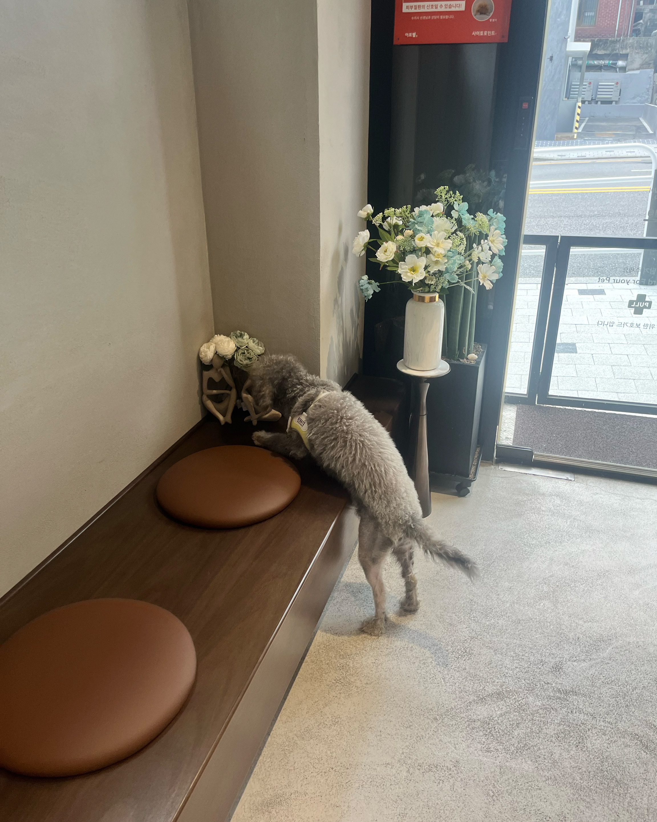 리뷰 사진 1