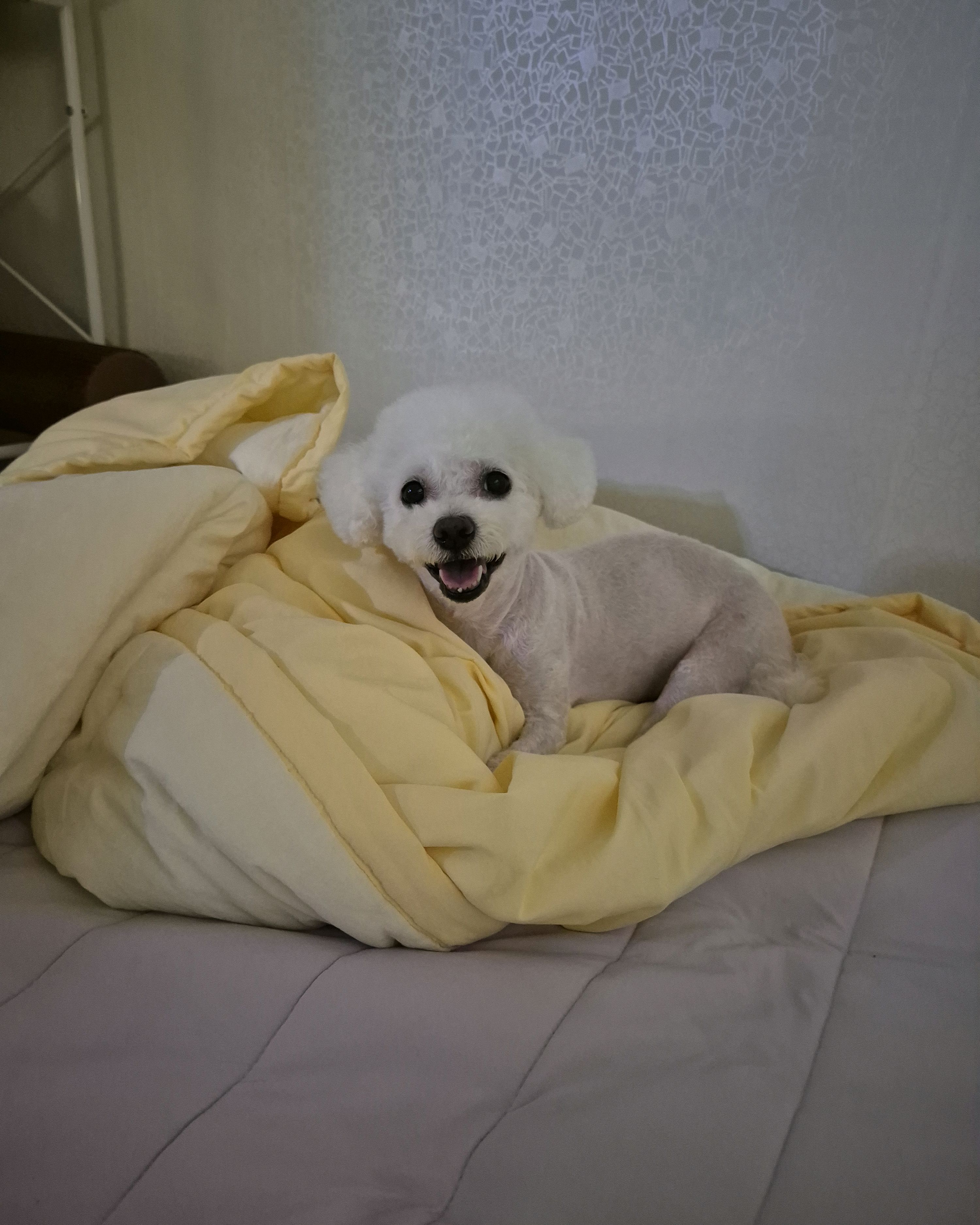 리뷰 사진 2