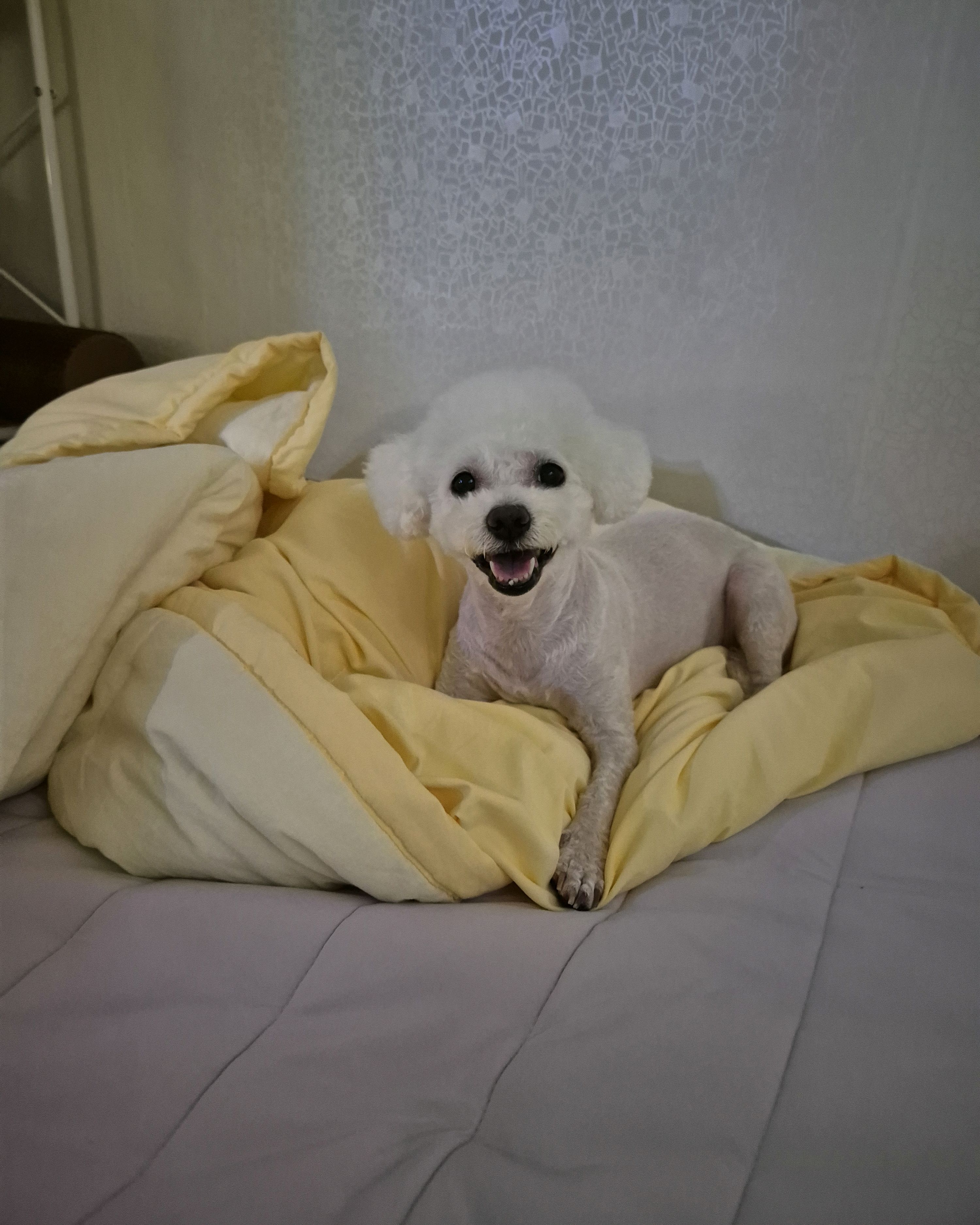 리뷰 사진 1