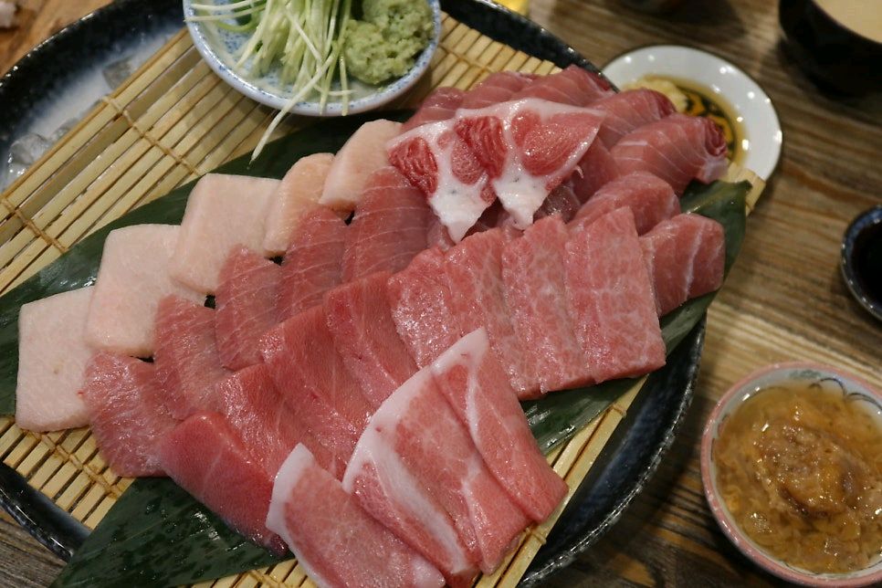 요이참치 이미지