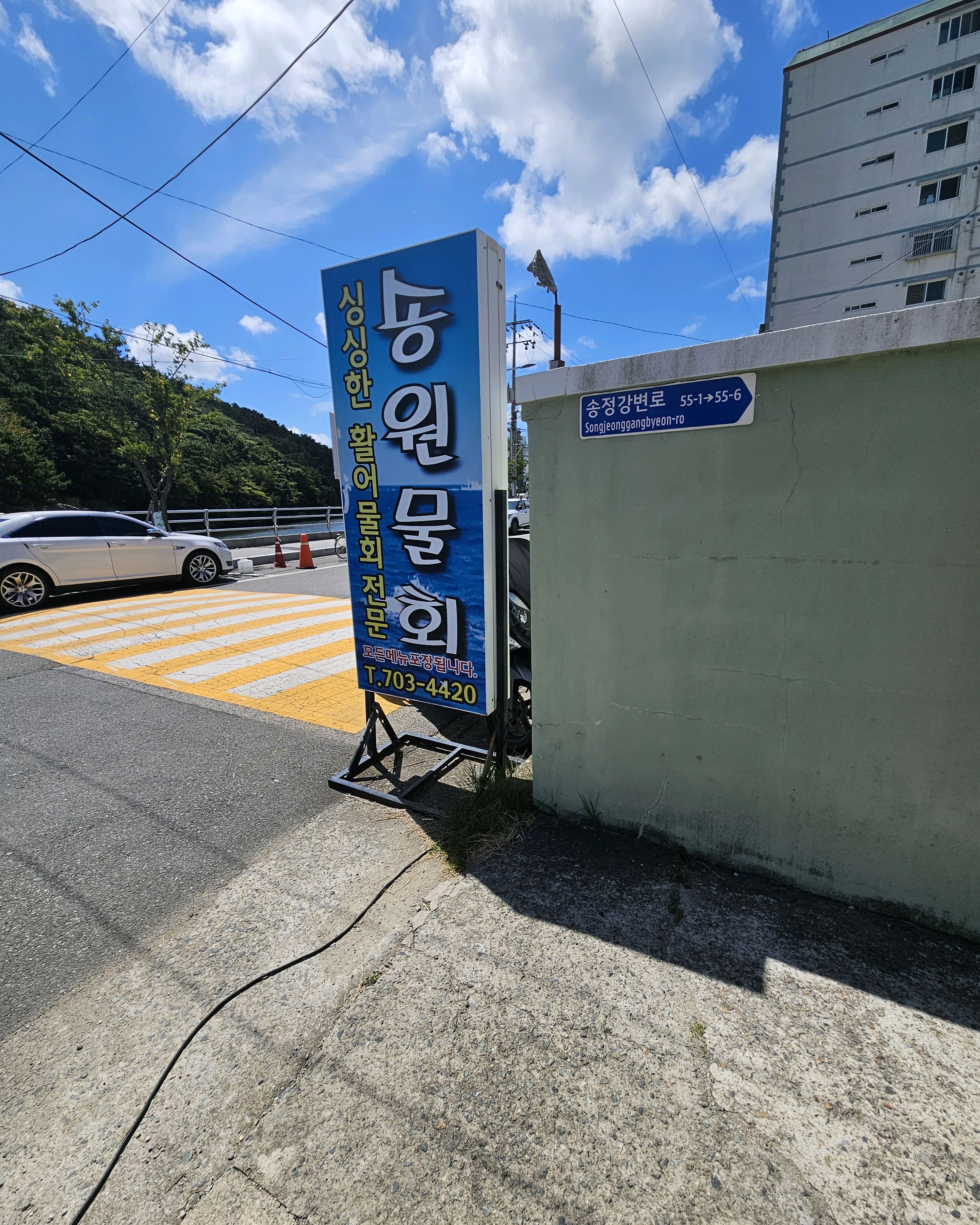 두 번째 방문입니다. - 송정 맛집 송원물회횟집