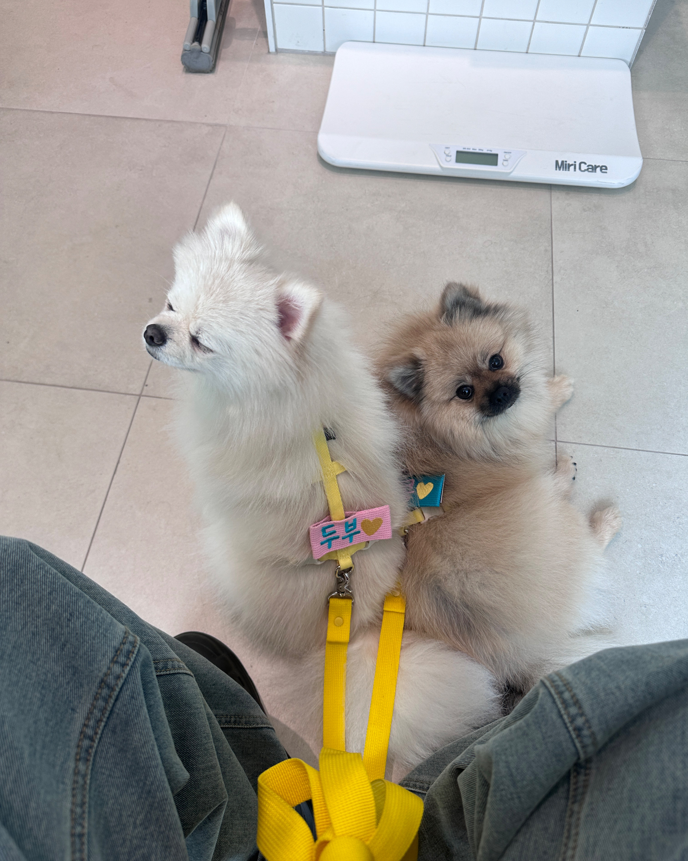 리뷰 사진 2