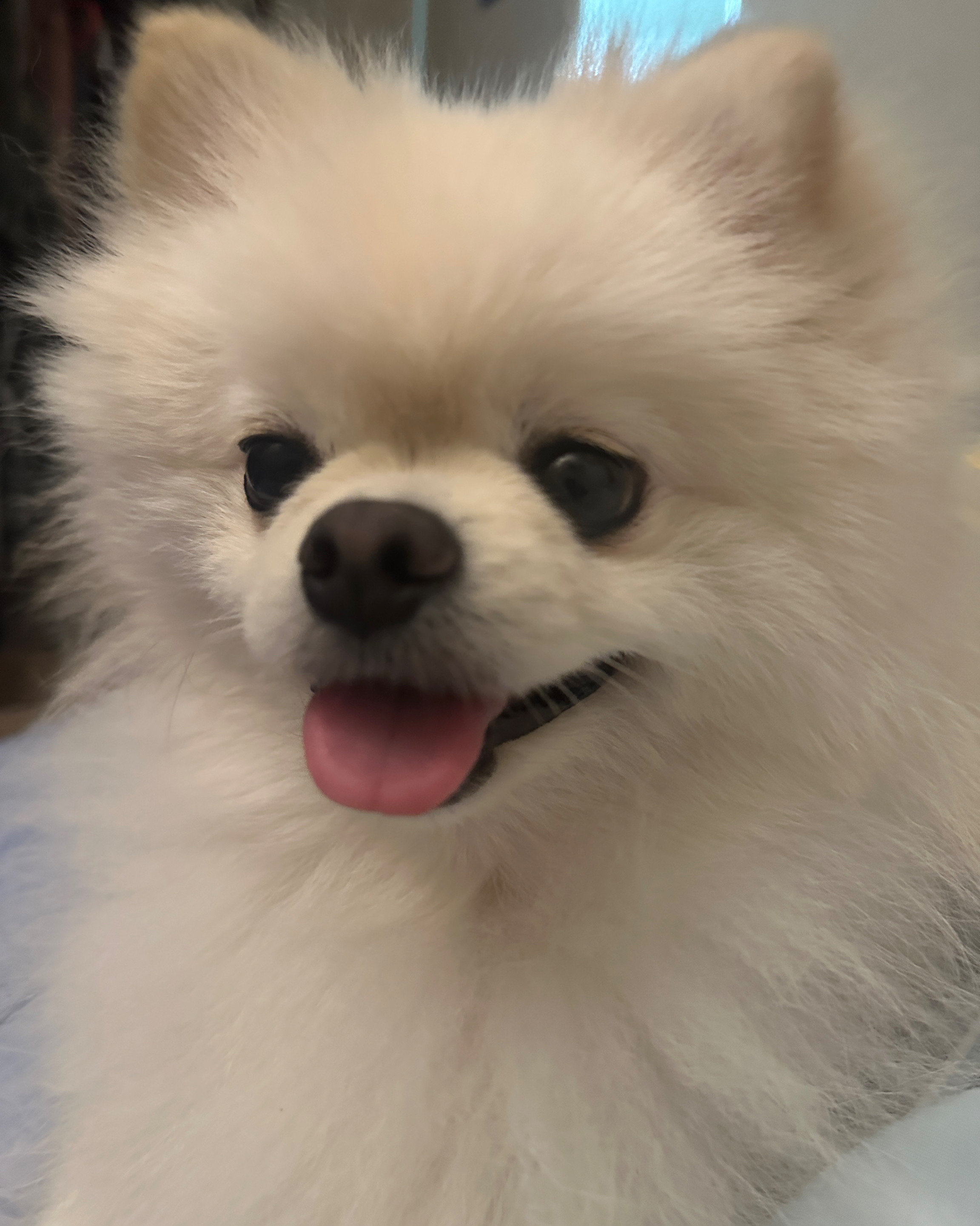 리뷰 사진 3