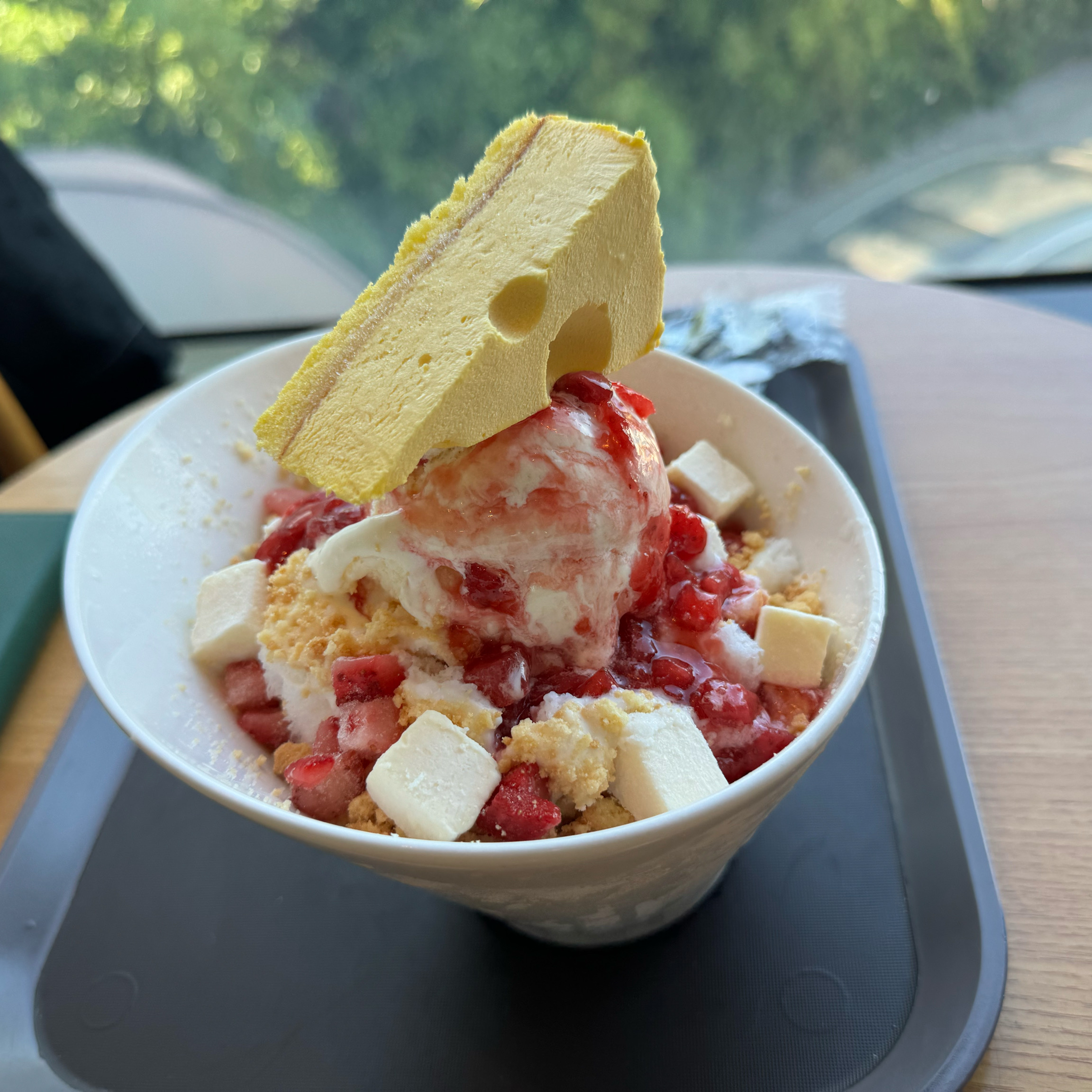 [동해 맛집 할리스 동해묵호점] 직접 가본 로컬 리뷰