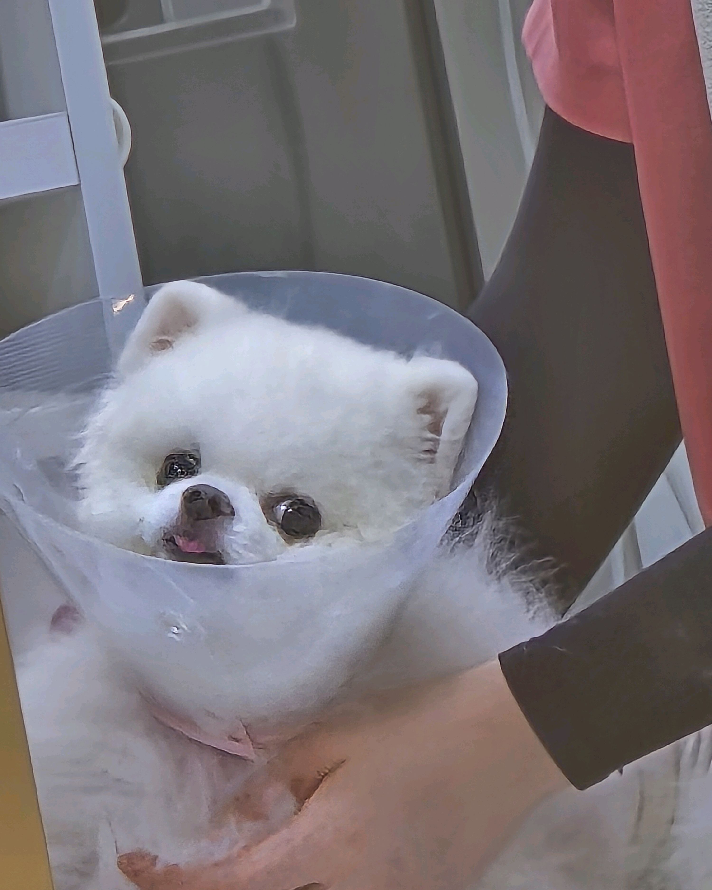 리뷰 사진 2