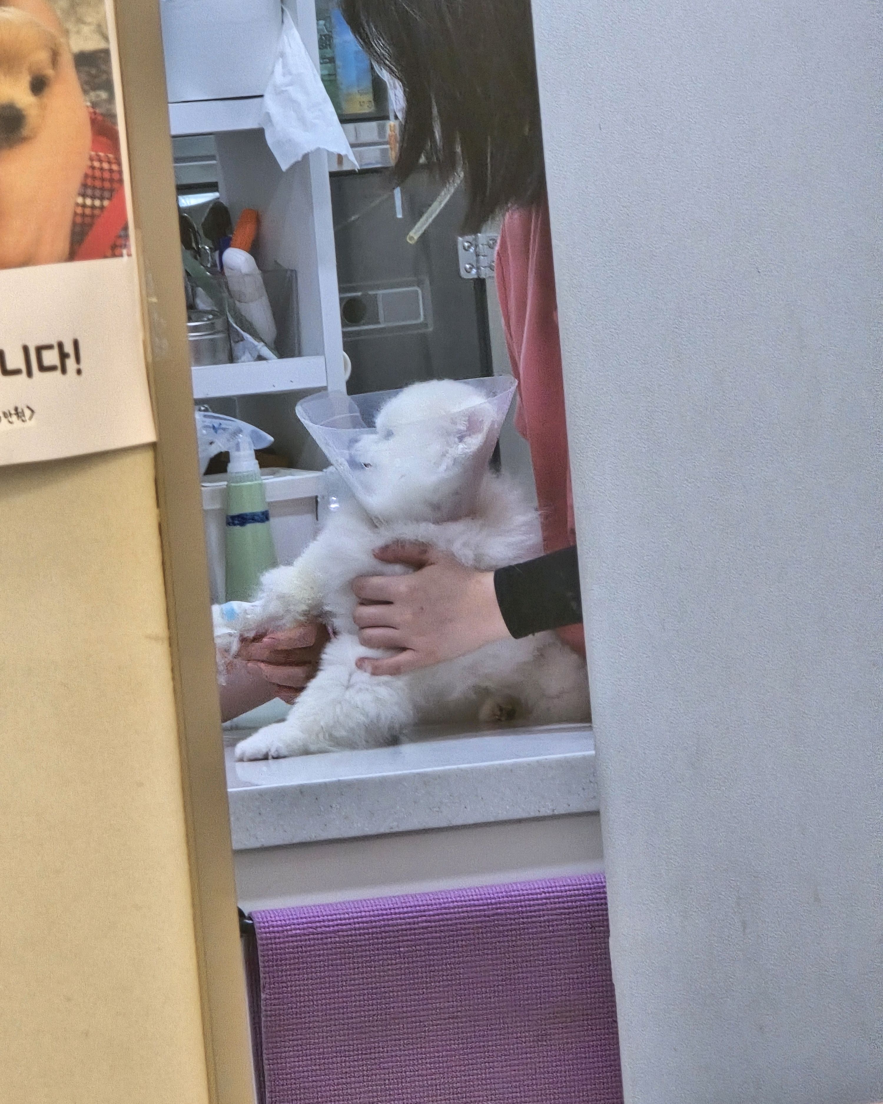리뷰 사진 3