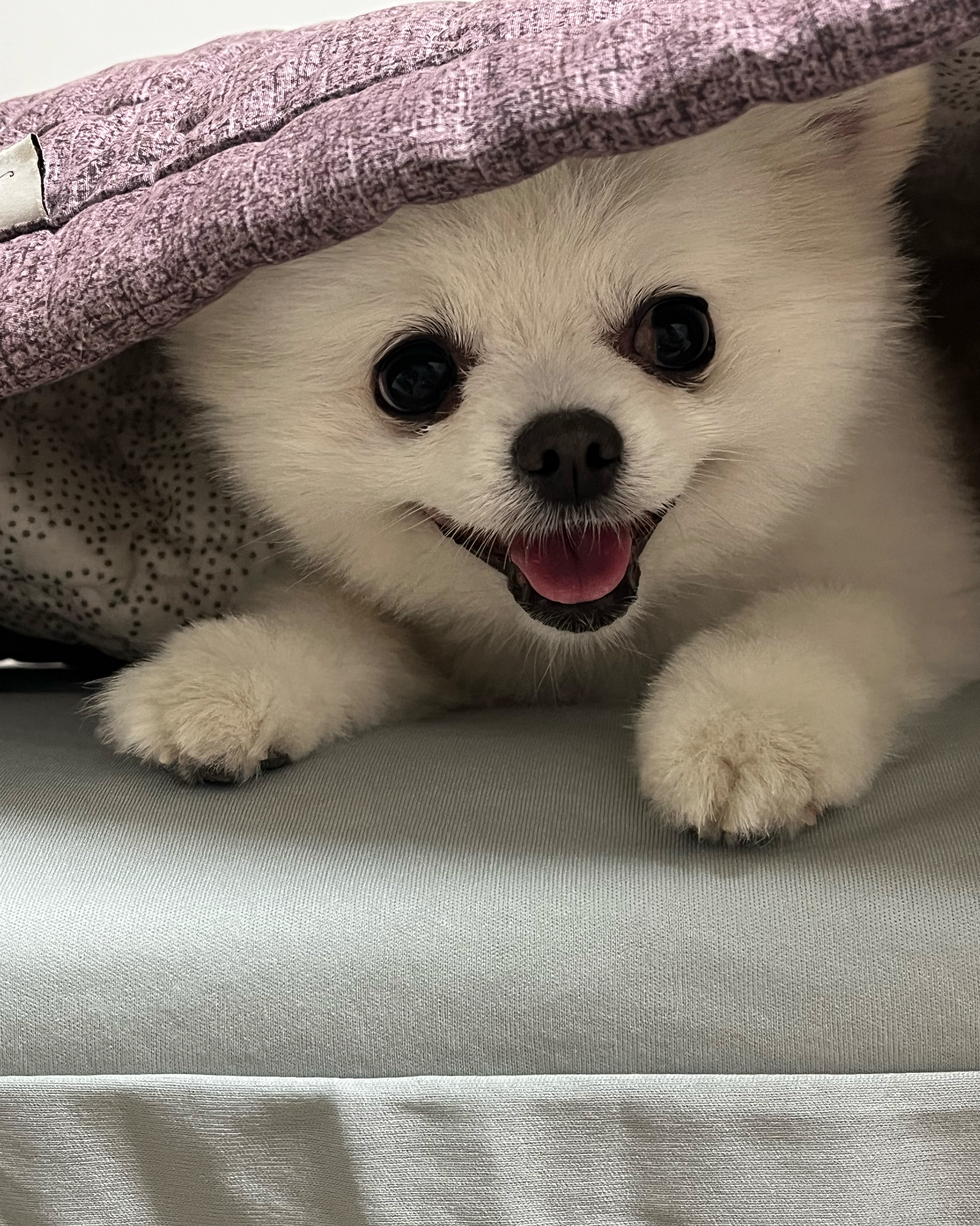 리뷰 사진 1