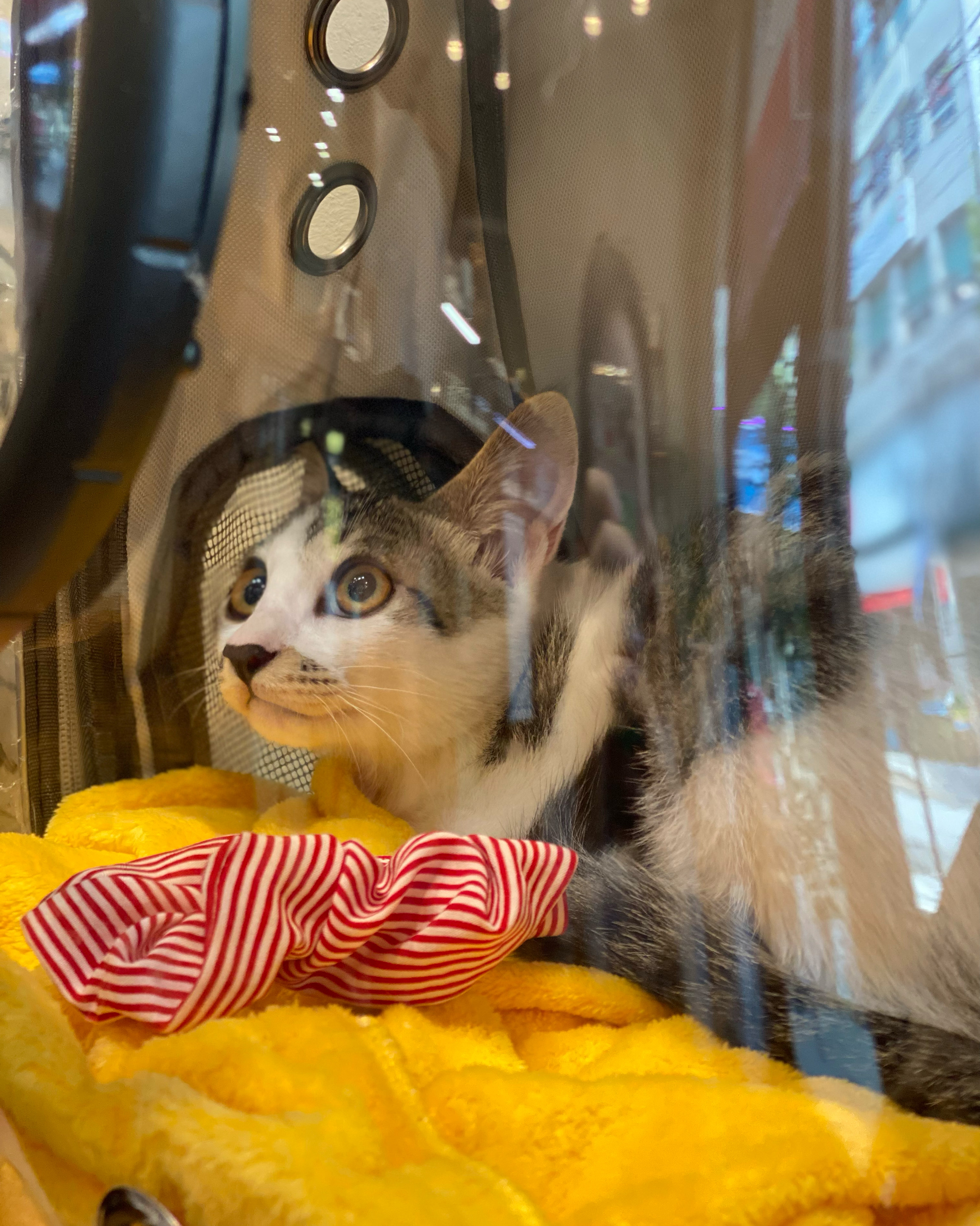 리뷰 사진 6