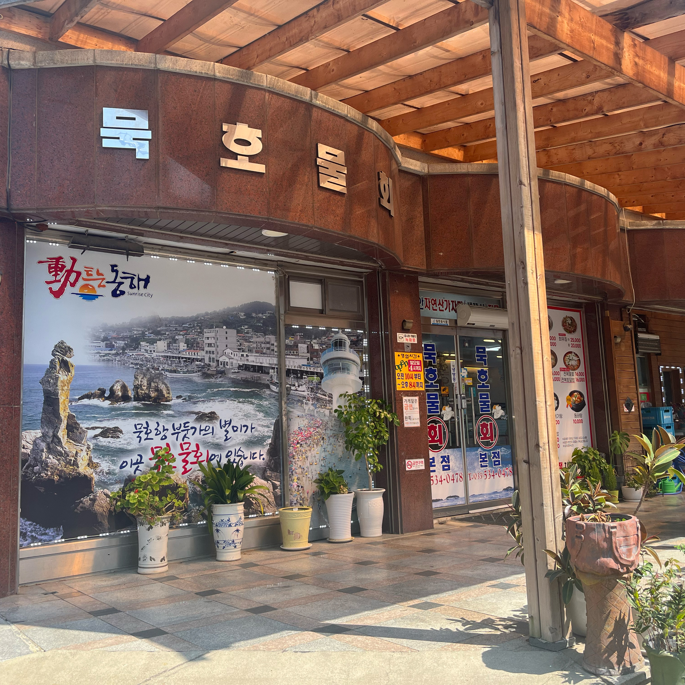 [동해 맛집 묵호물회] 직접 가본 로컬 리뷰