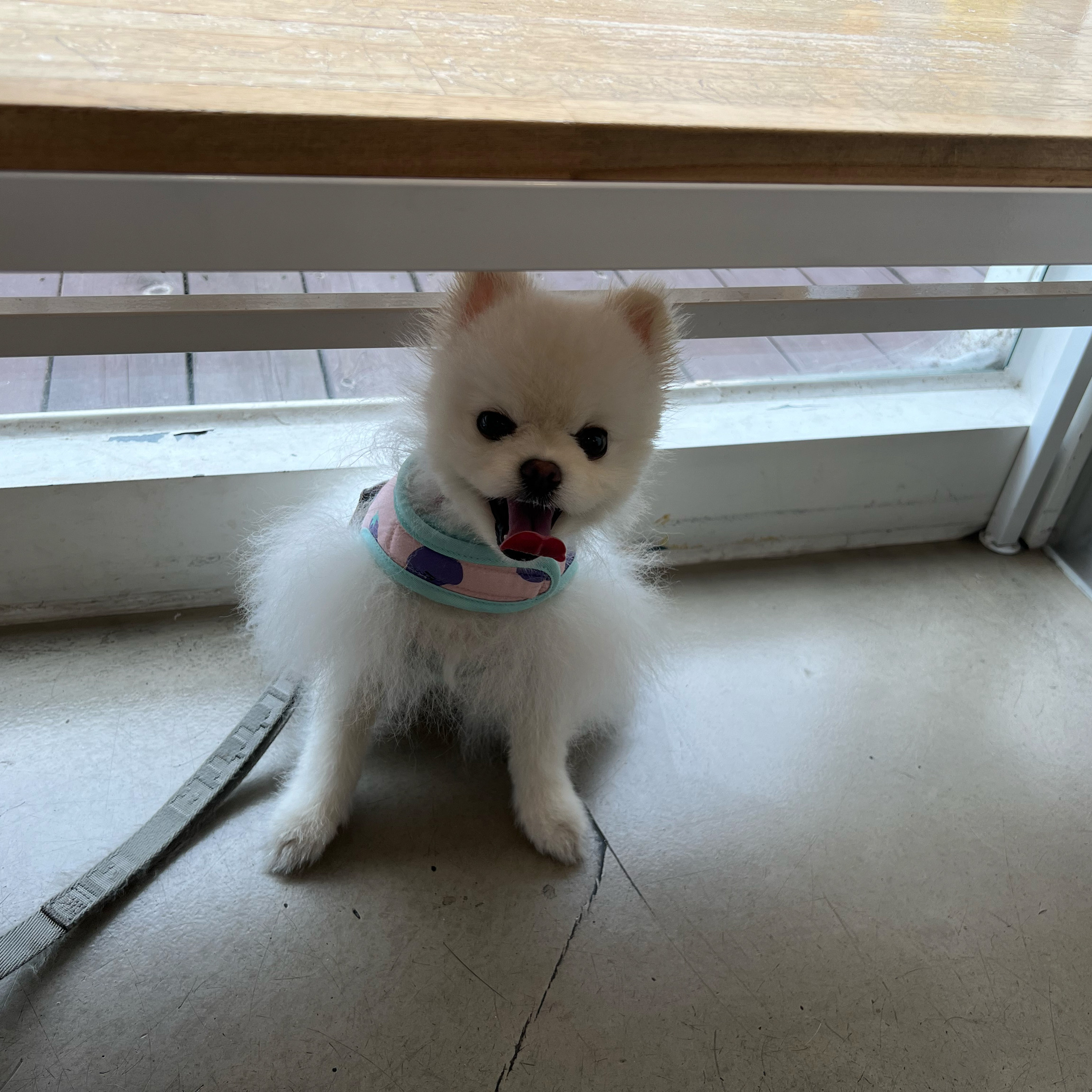 리뷰 사진 1