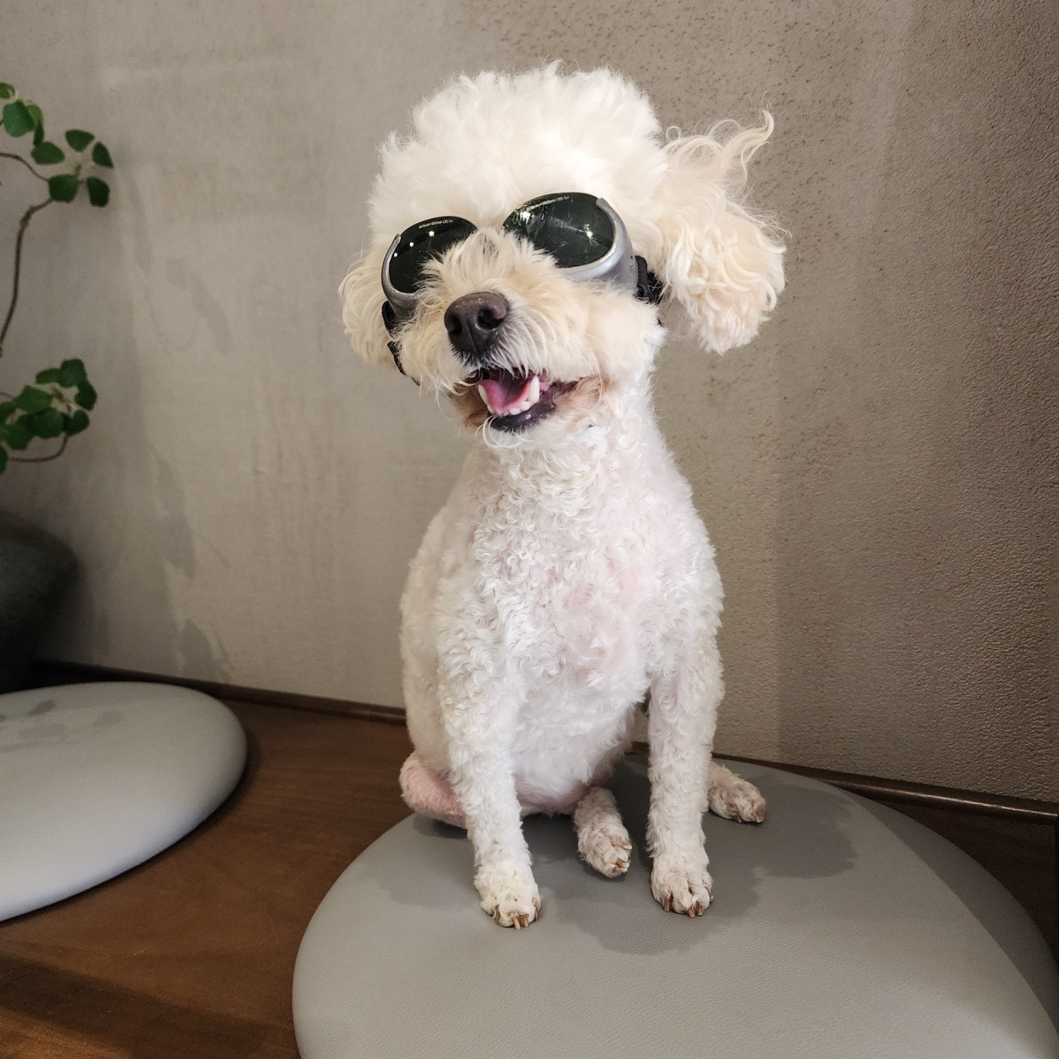 리뷰 사진 1