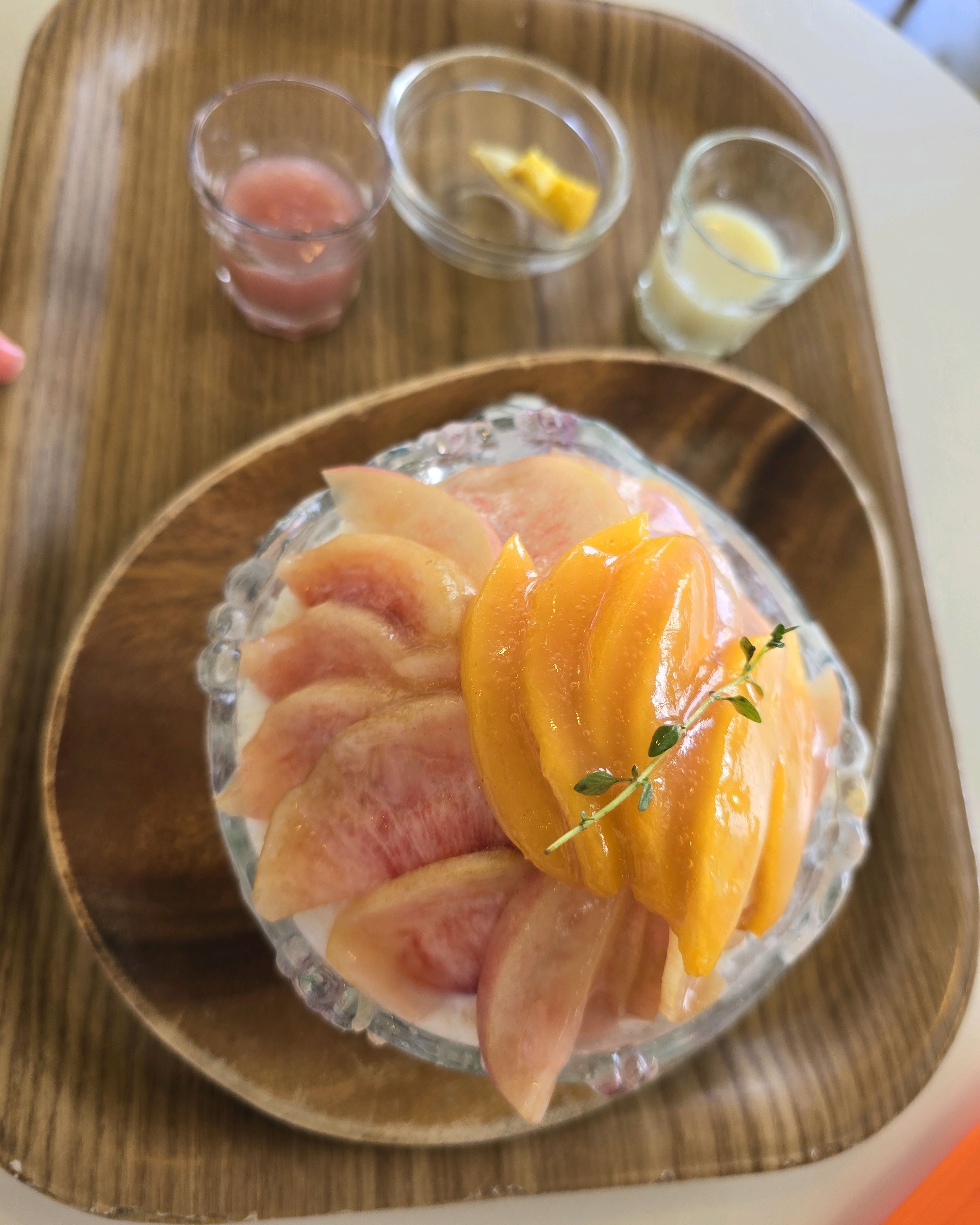 [강릉 맛집 갈매기다방] 직접 가본 로컬 리뷰