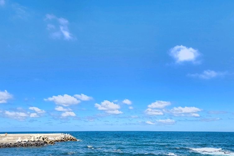 제주 맛집 통일가든 37번째 리뷰 이미지