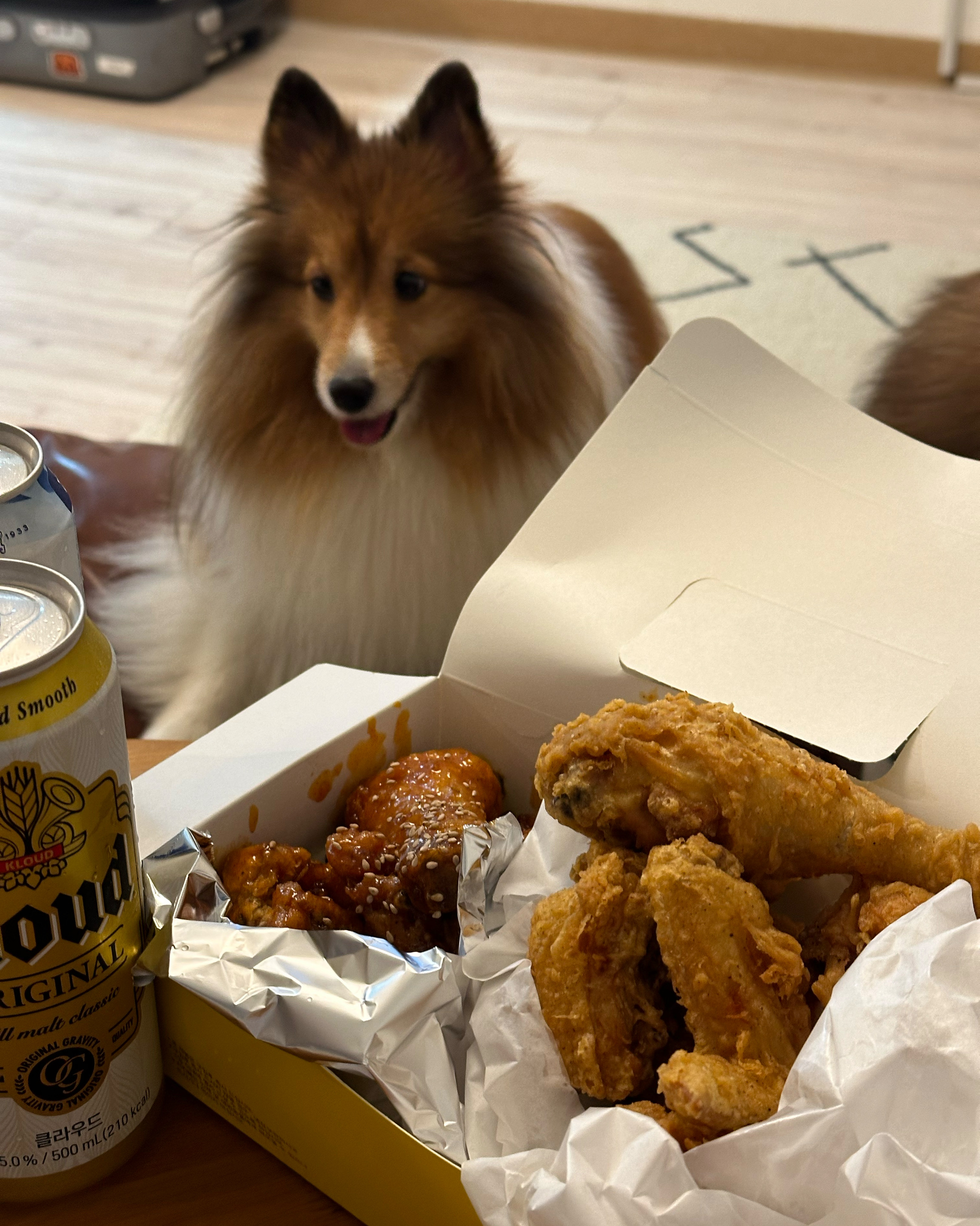 [애월 맛집 마시레치킨] 직접 가본 로컬 리뷰