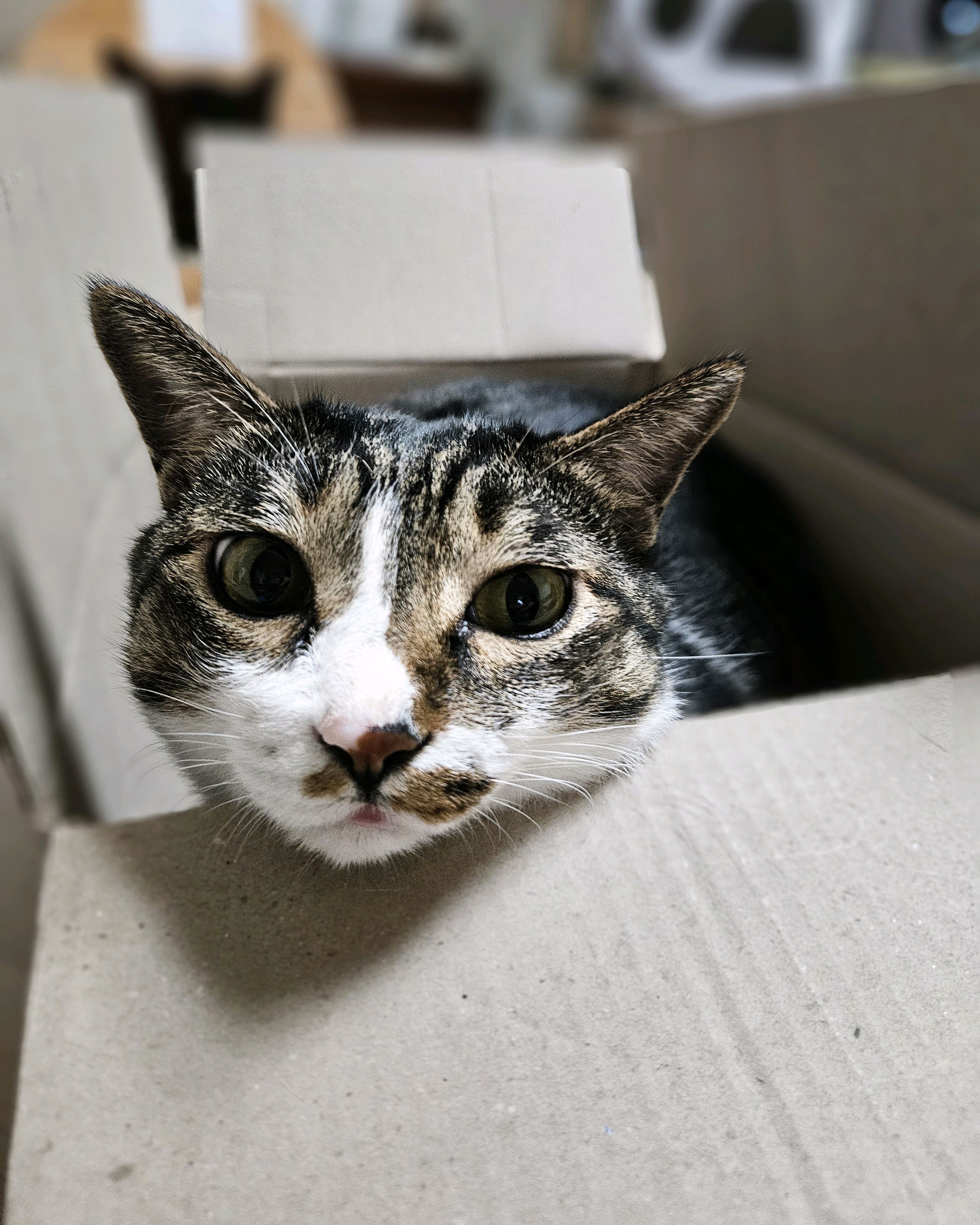 리뷰 사진 1