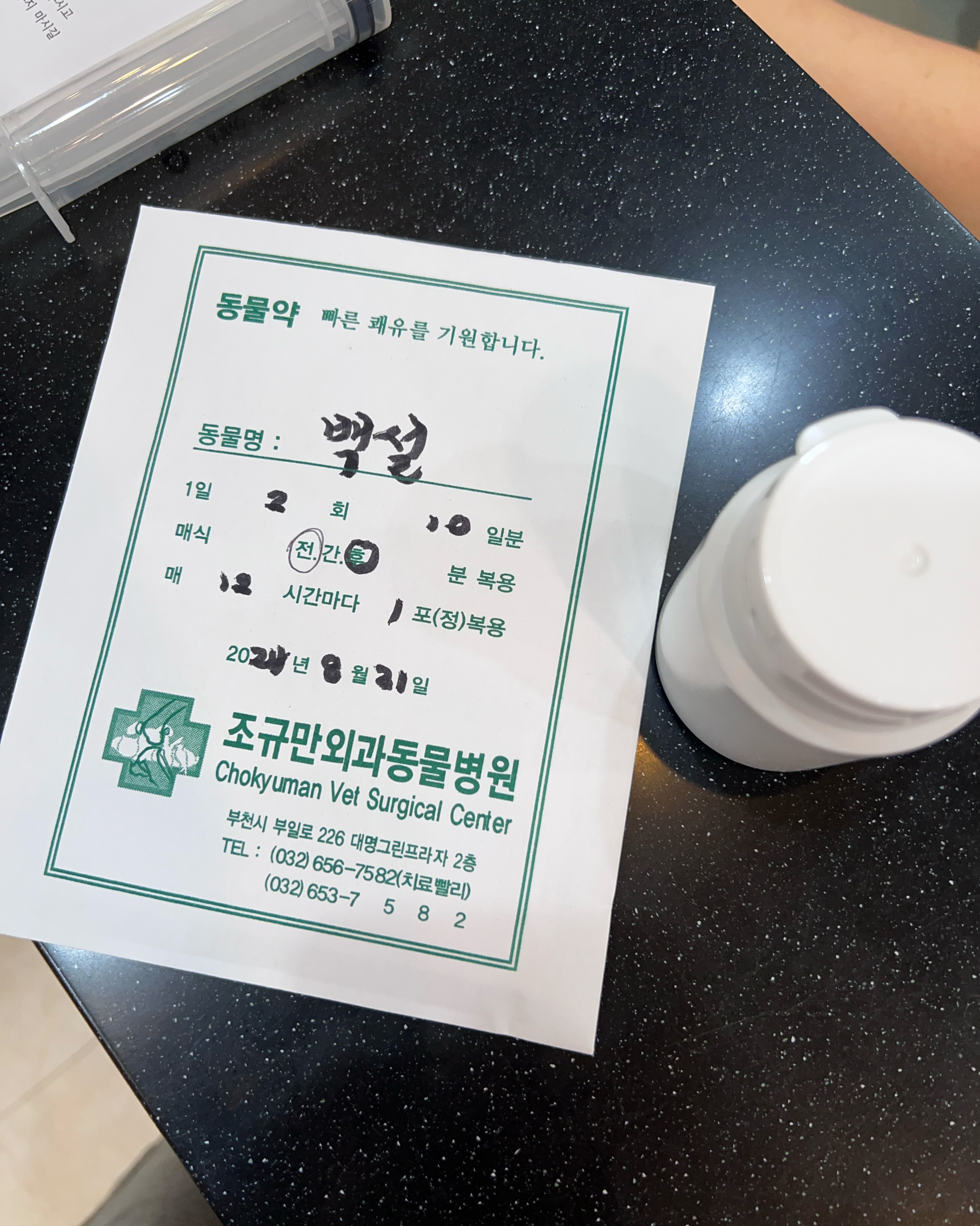 조규만외과동물병원 사진 5