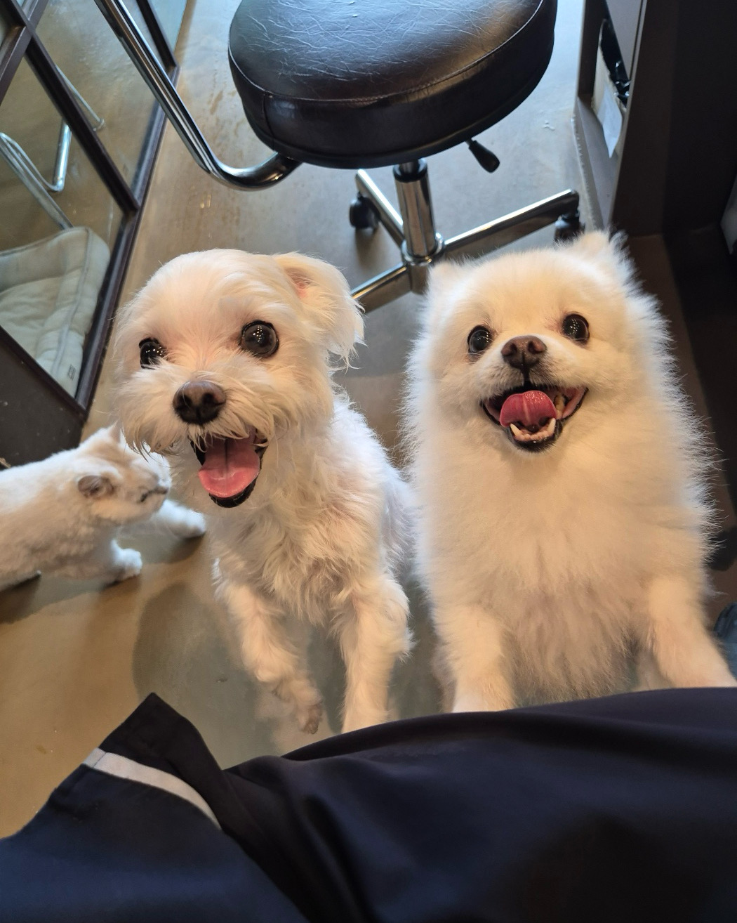 리뷰 사진 1