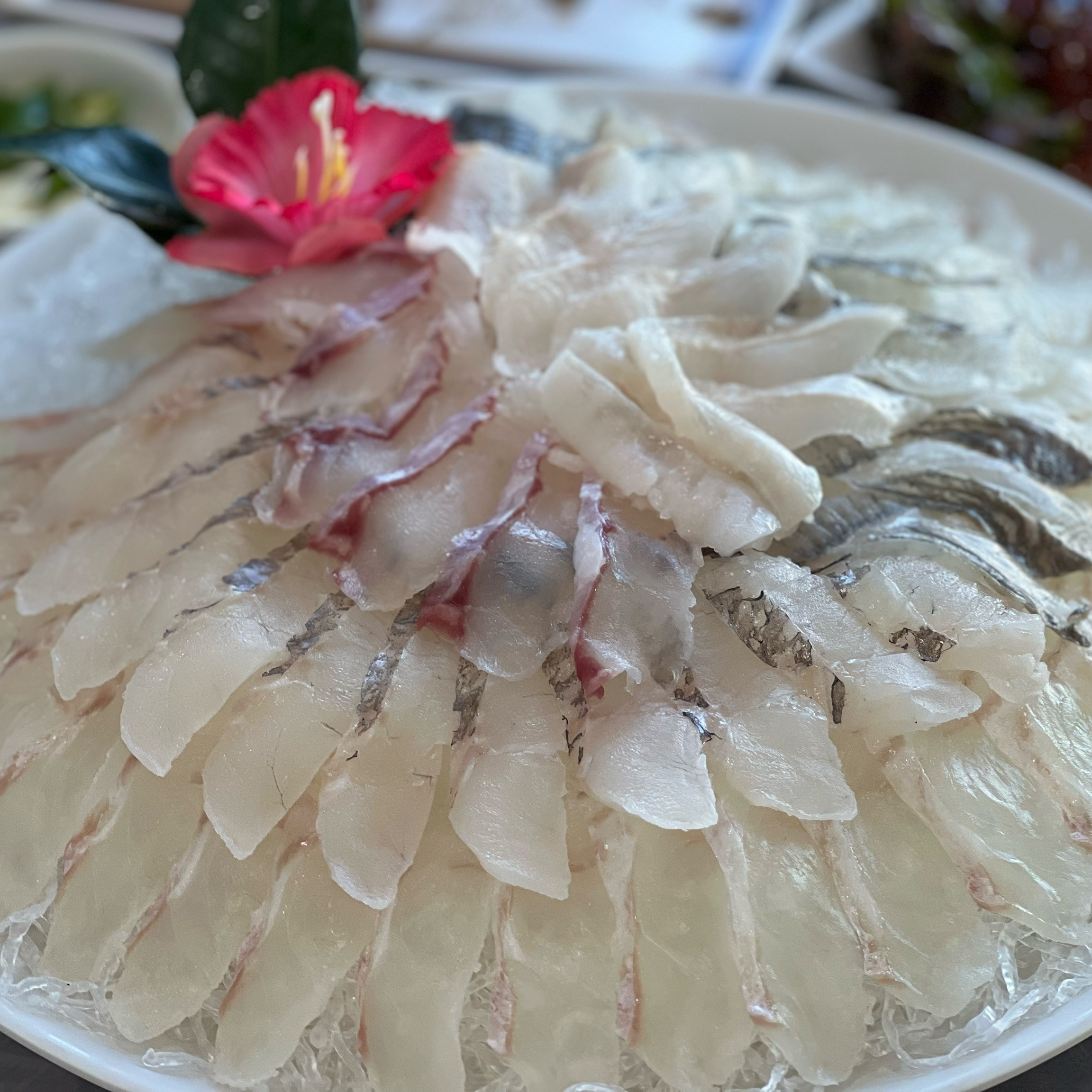 부모님의 삼척 넘버원 횟집이라 부모님과 여행 오면 들리는 평남 횟집입니다. 메인회가 나오기