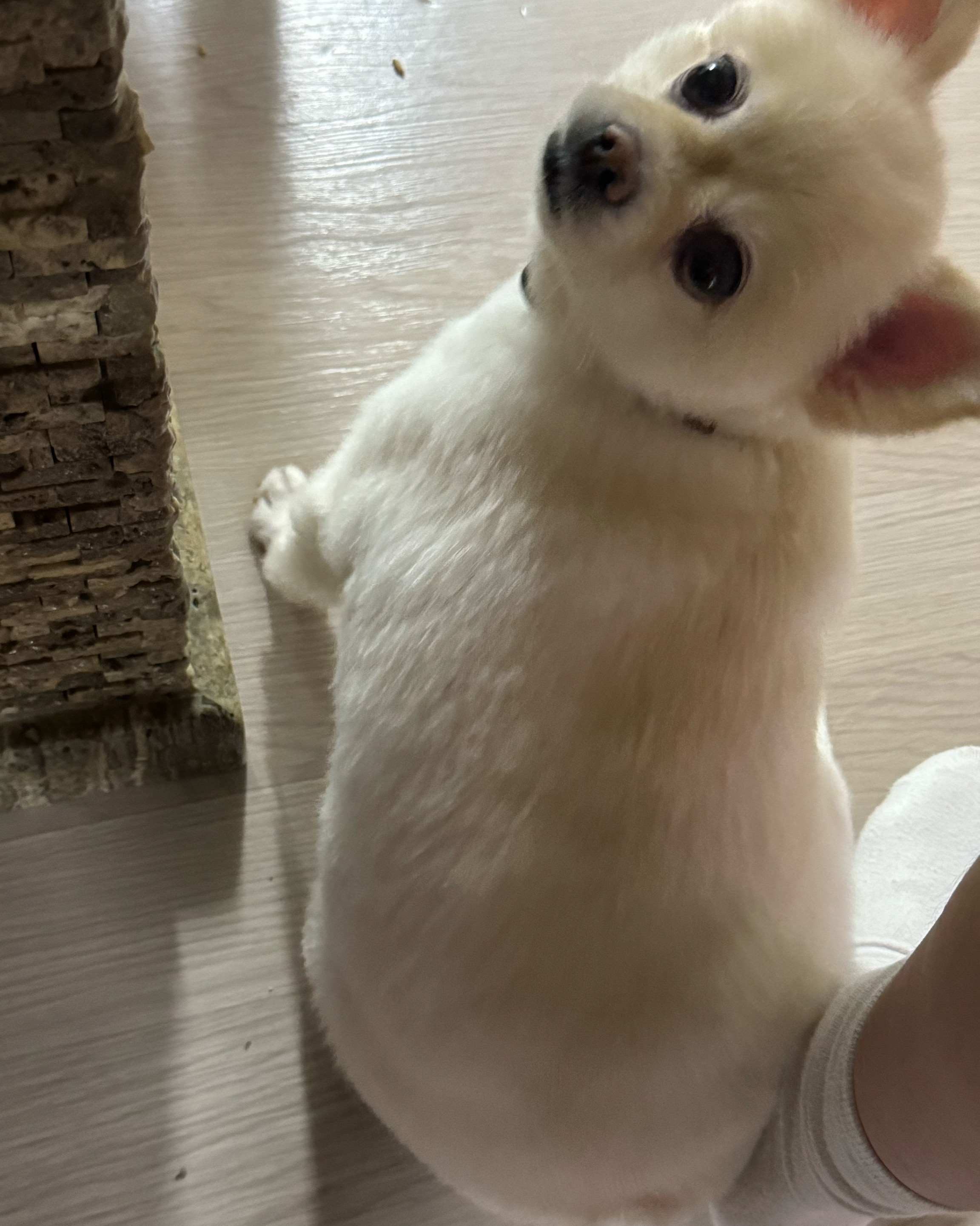 리뷰 사진 4