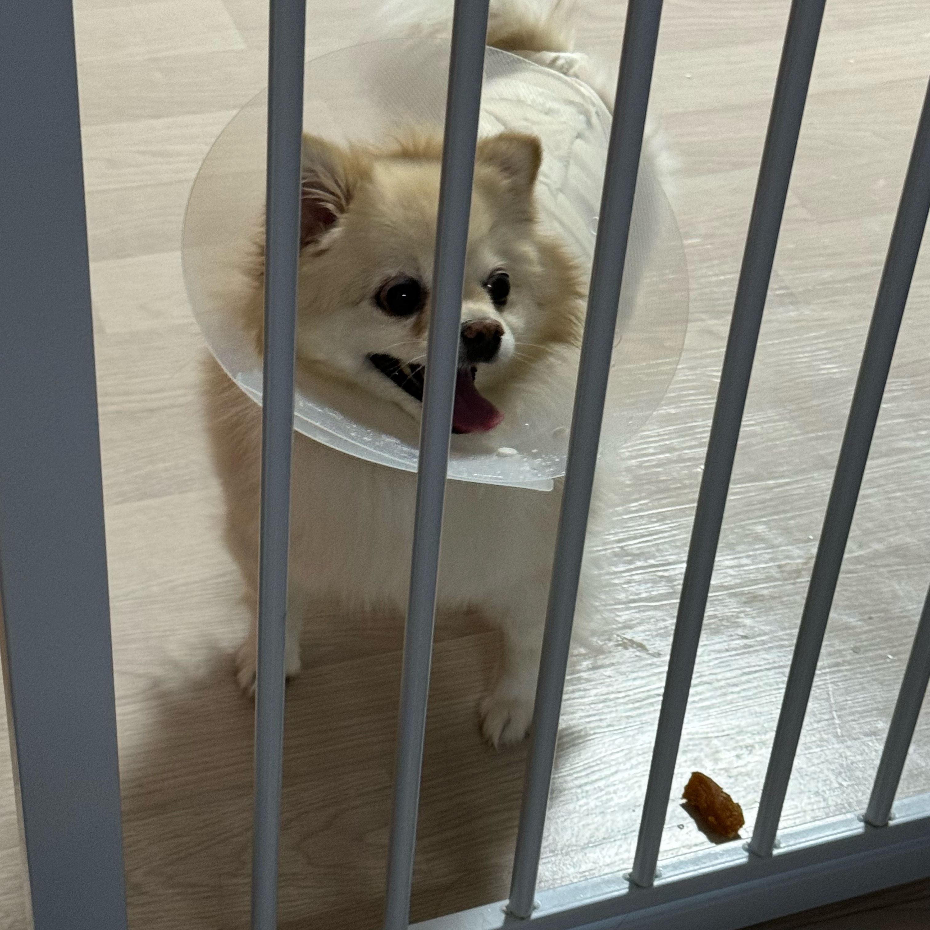 리뷰 사진 2