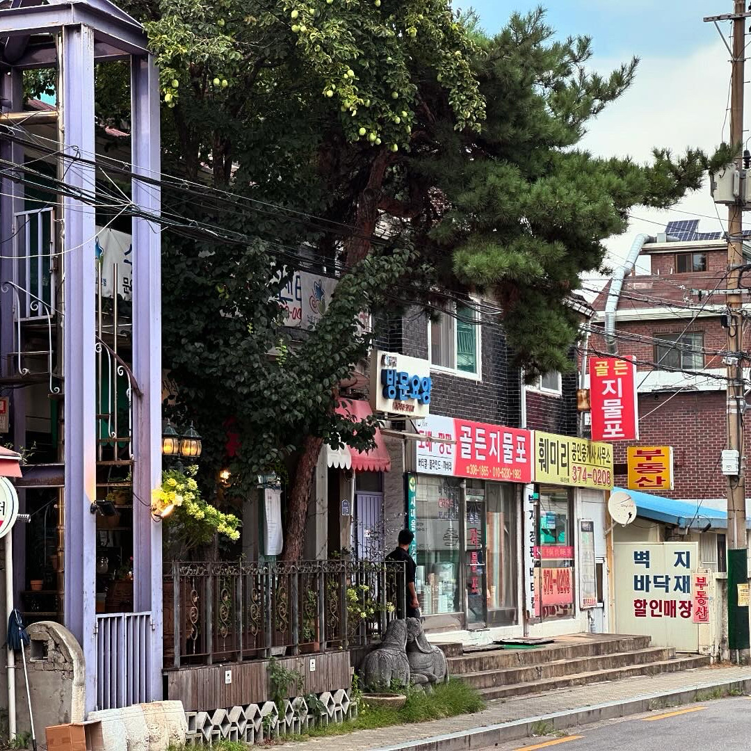 
서울시 은평구 증산동 맛집 밀라노기사식당