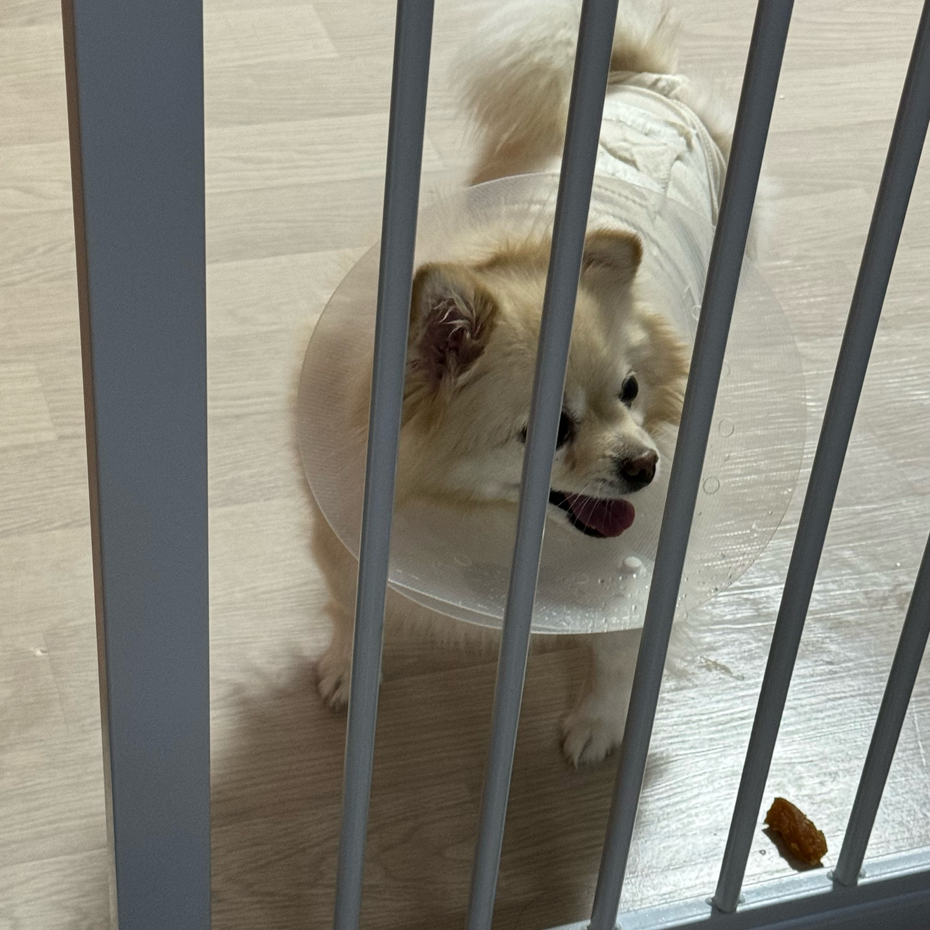 리뷰 사진 1