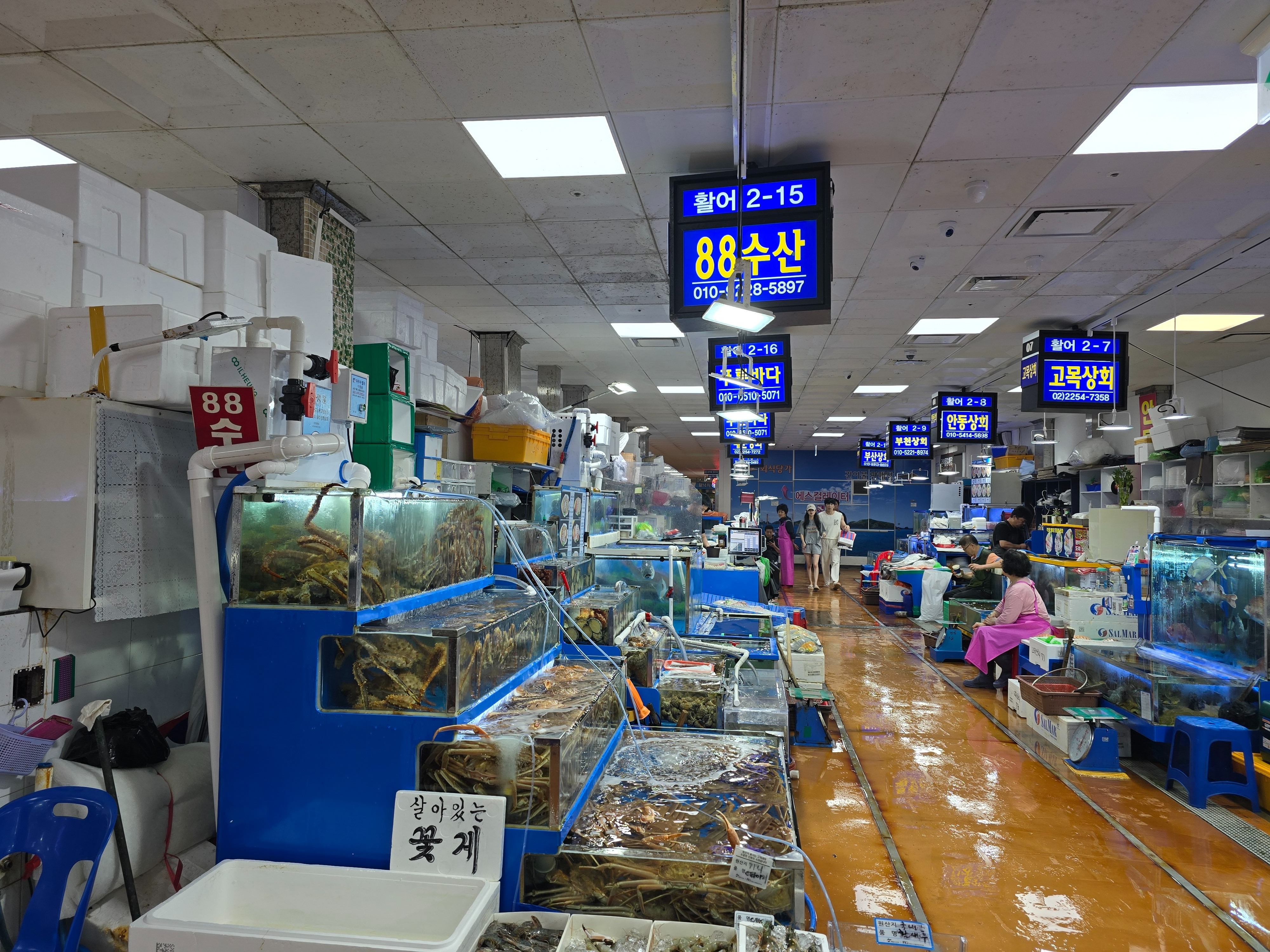 
서울시 동작구 노량진 맛집 88수산