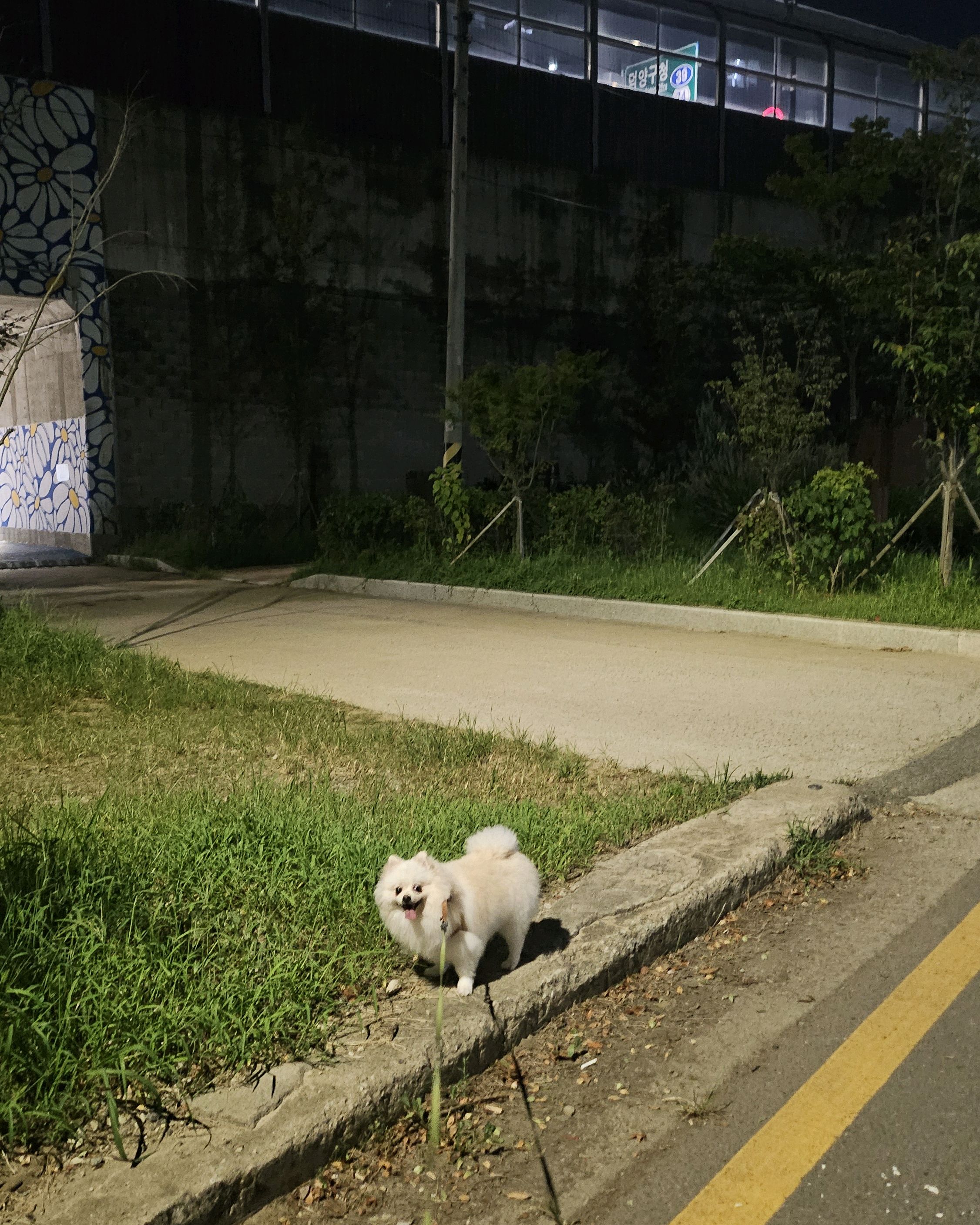 해랑동물병원 사진 2