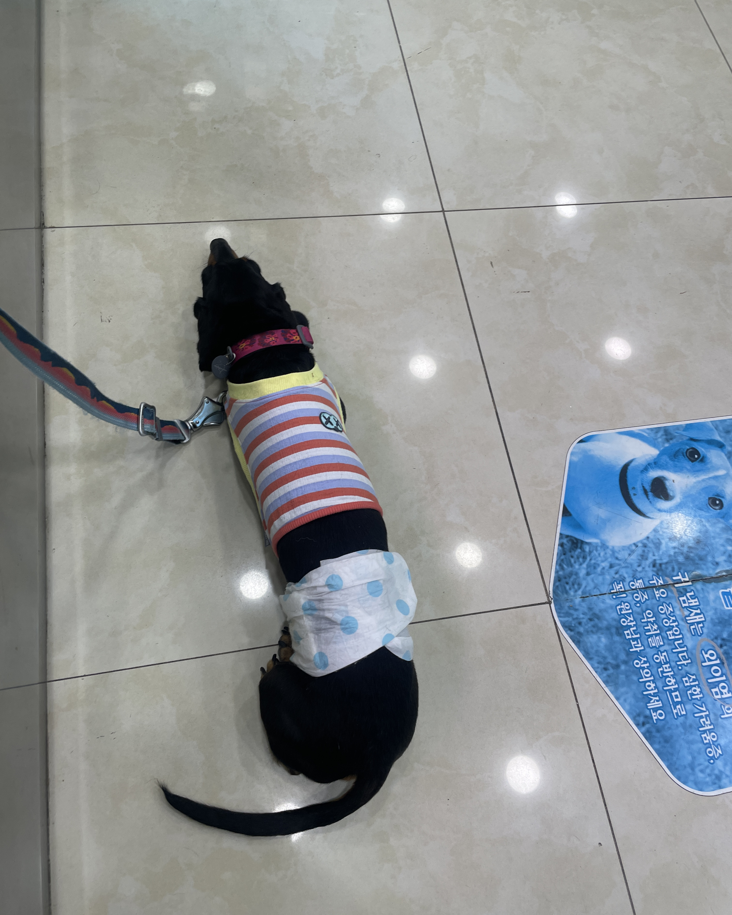 리뷰 사진 1