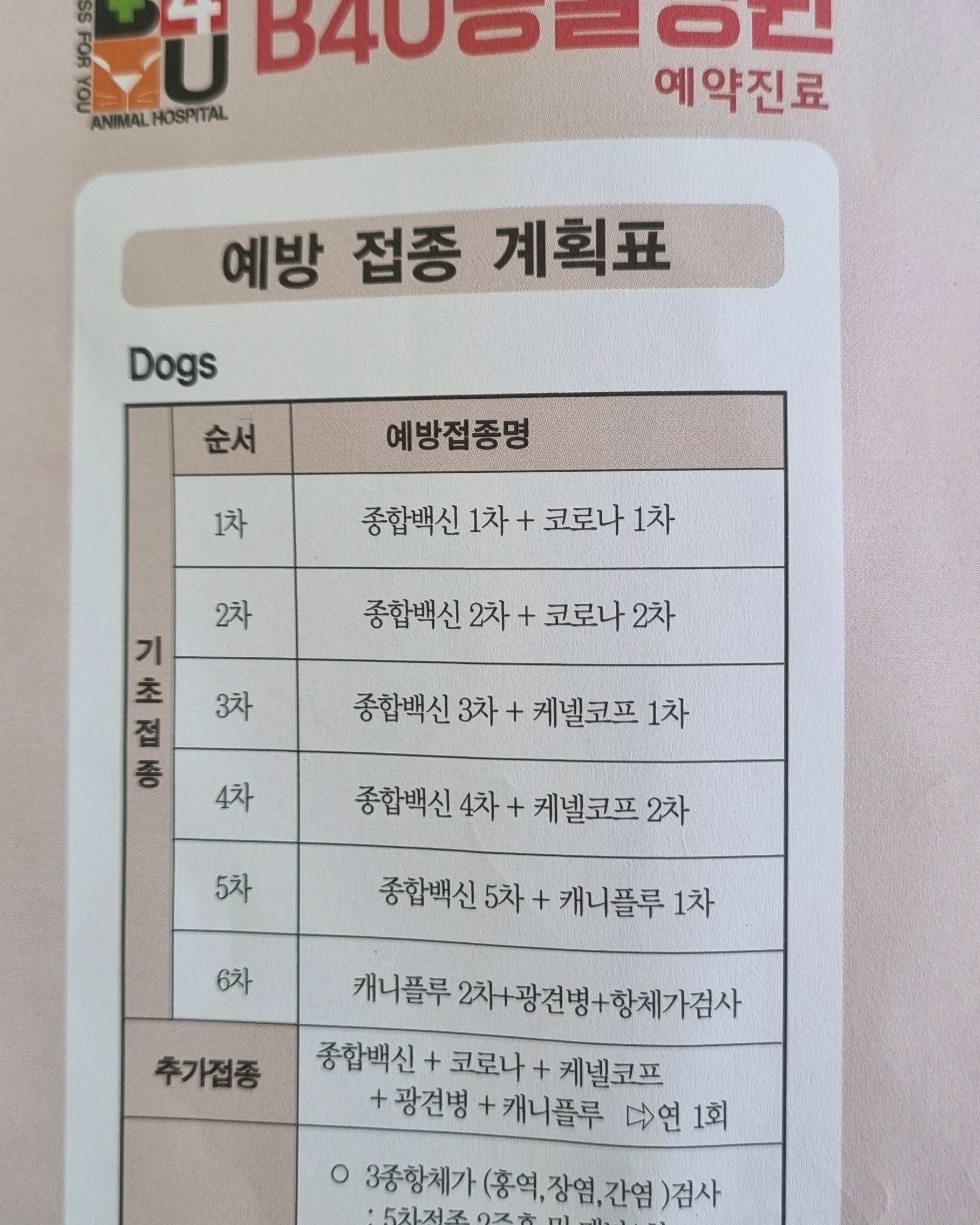 비포유동물병원 사진 4