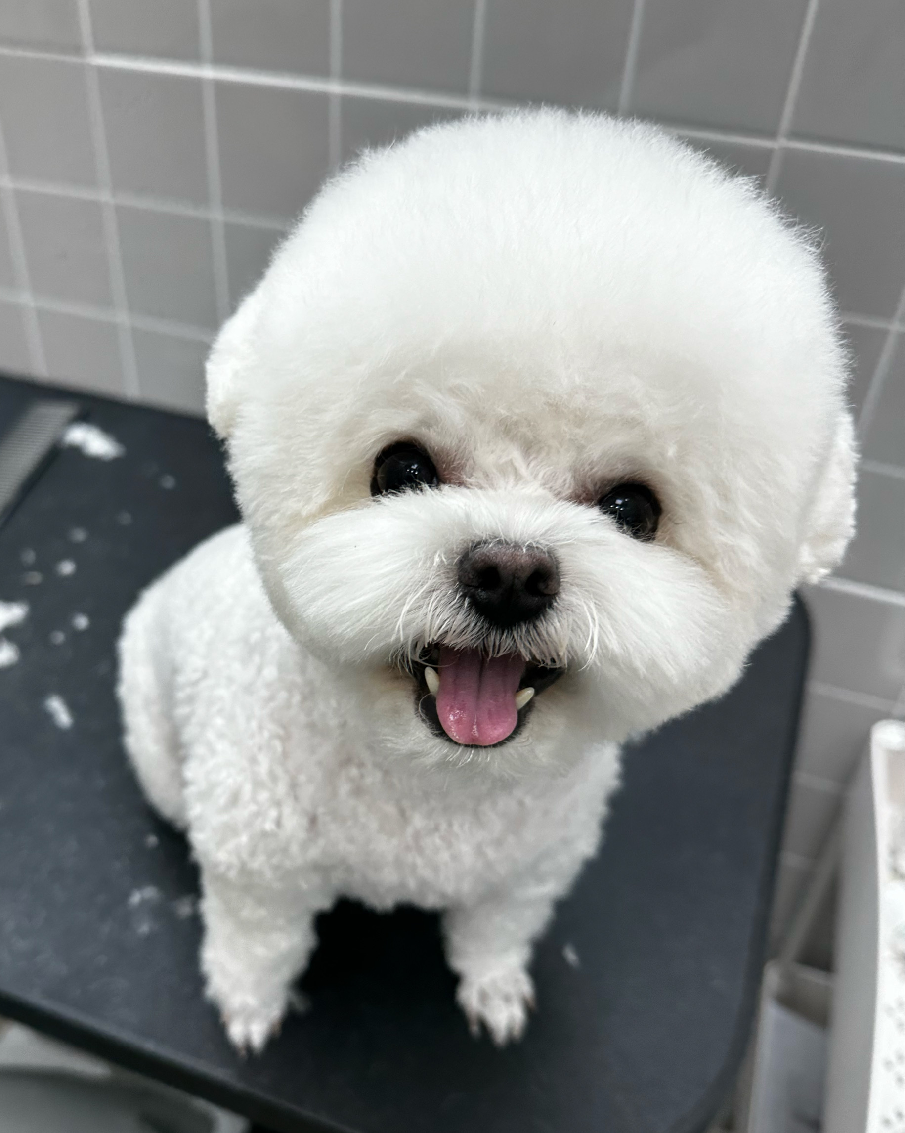튼튼동물병원 사진 3