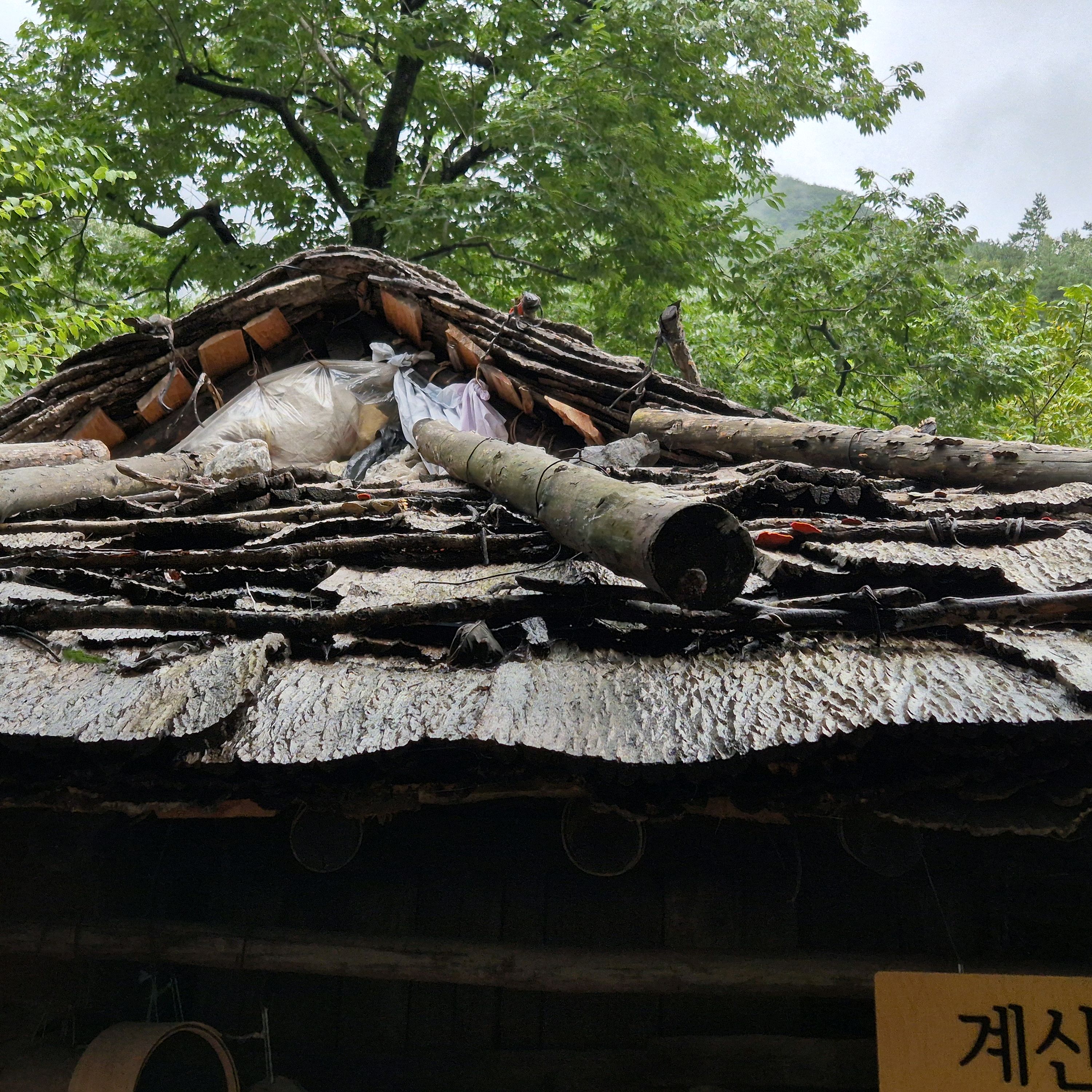 [삼척 맛집 굴피집] 직접 가본 로컬 리뷰