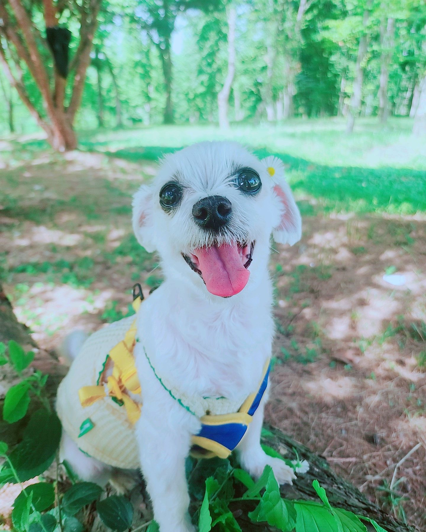 리뷰 사진 2