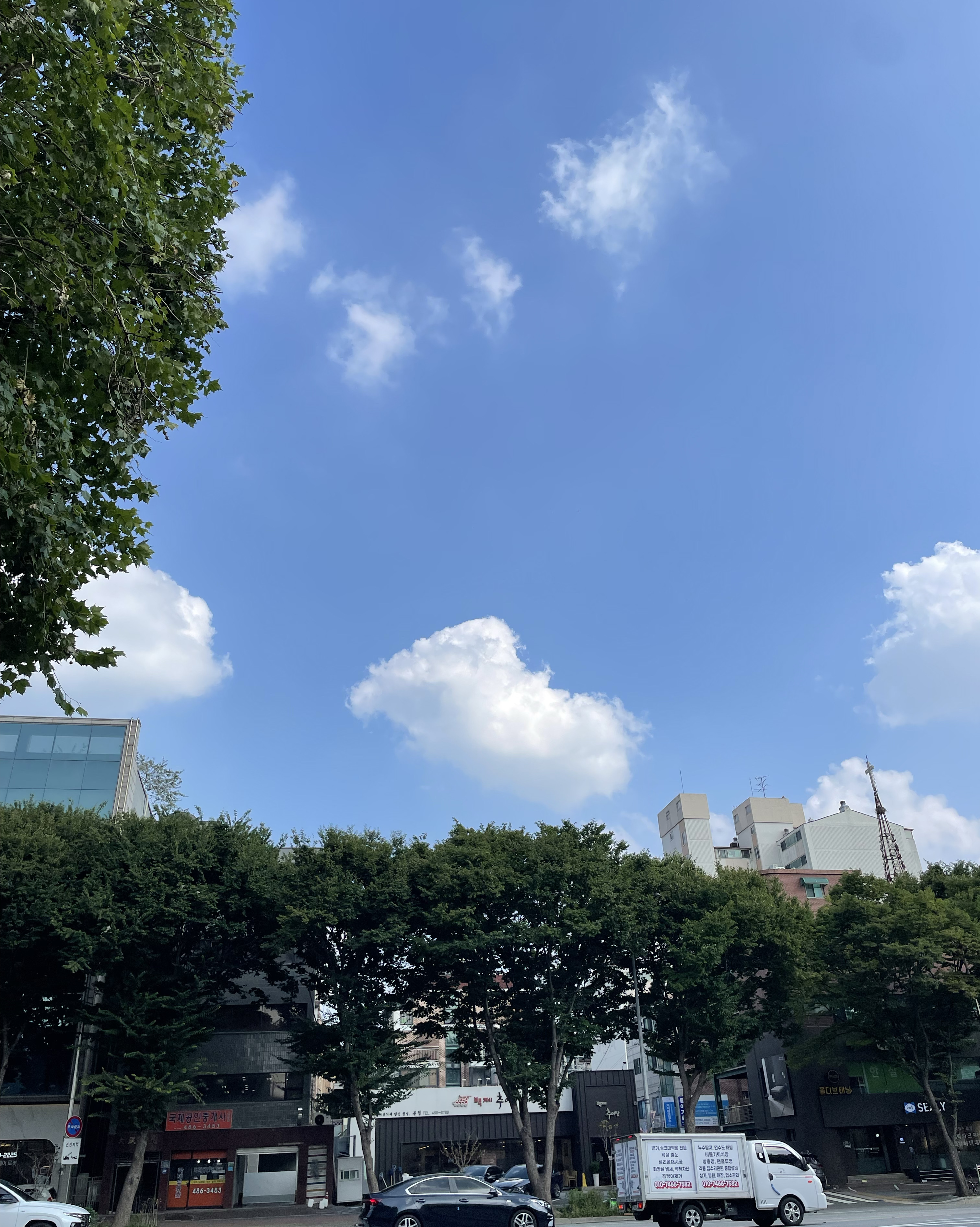
서울시 강동구 길동 맛집 상무초밥 길동점