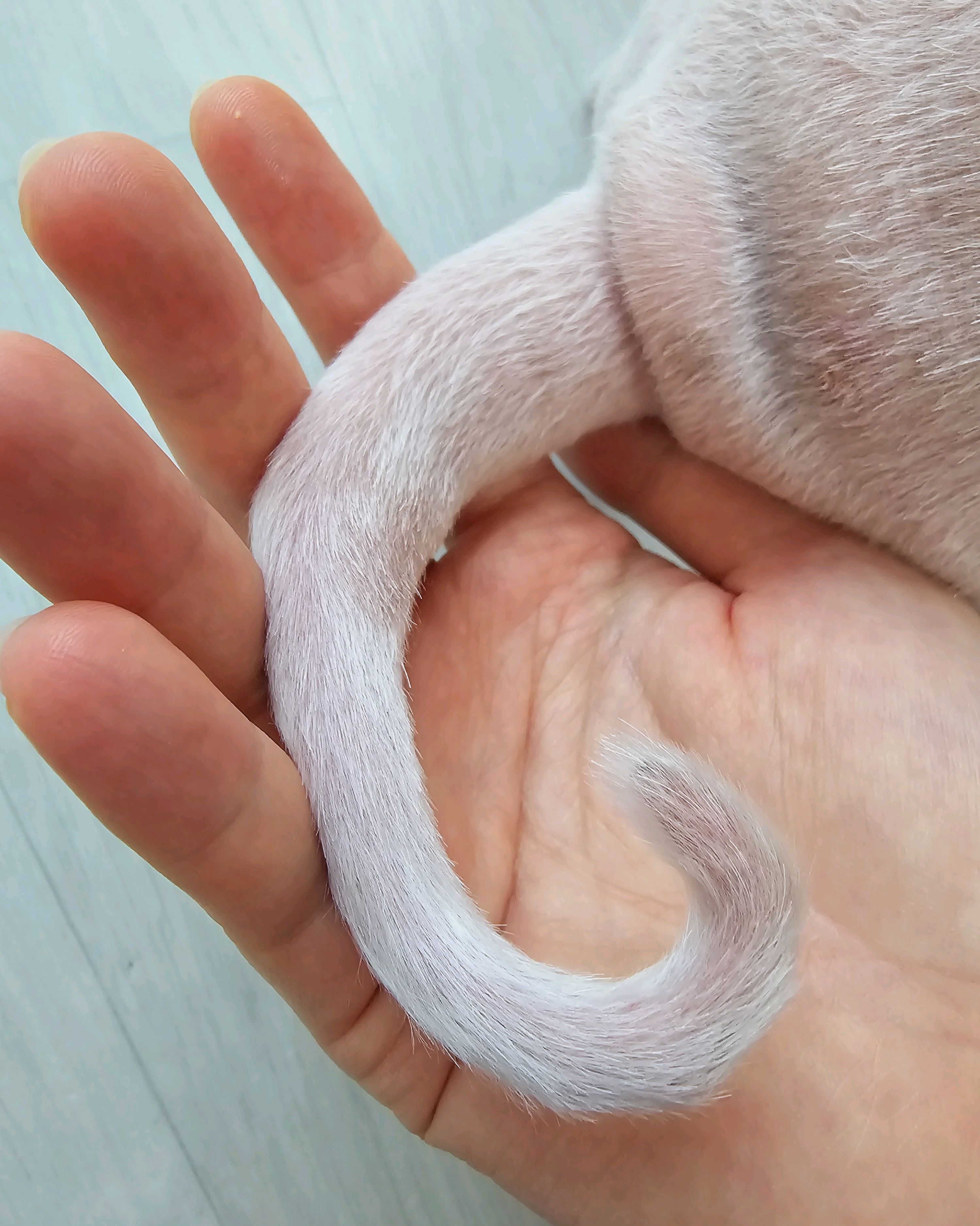 리뷰 사진 1