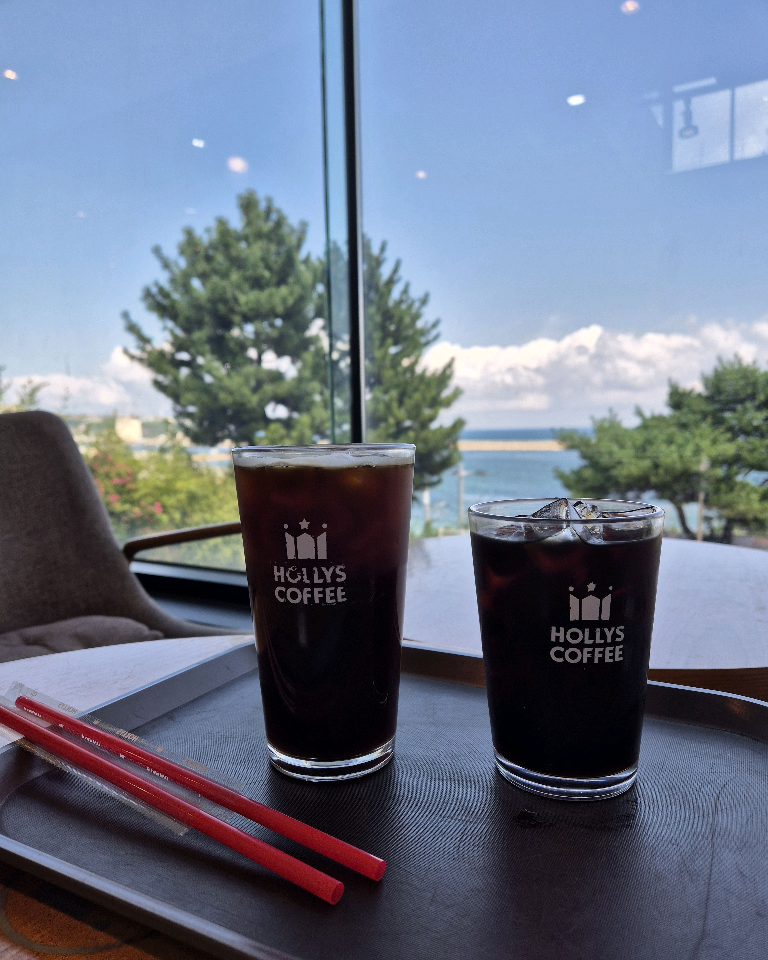 [동해 맛집 할리스 동해묵호점] 직접 가본 로컬 리뷰