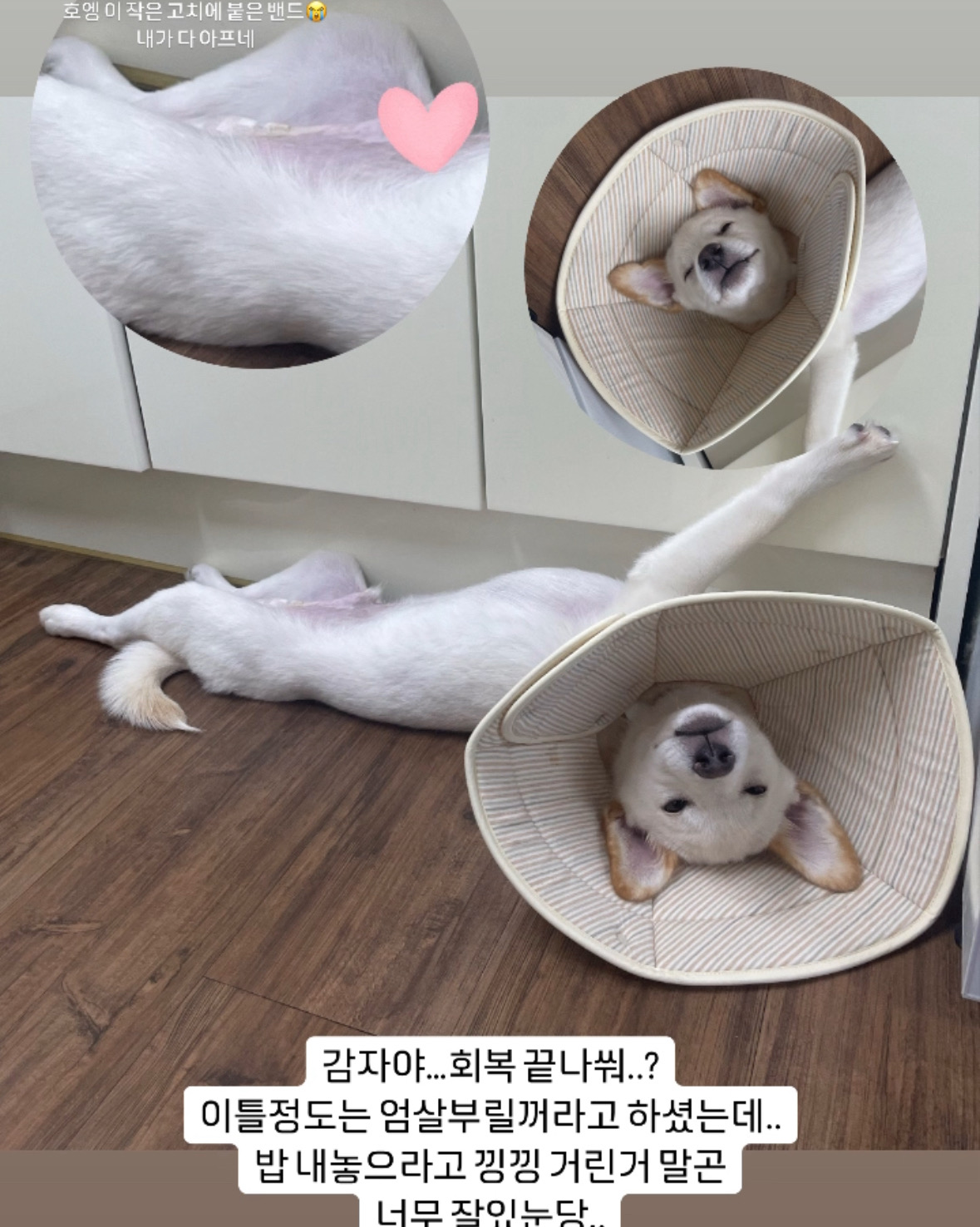 리뷰 사진 3
