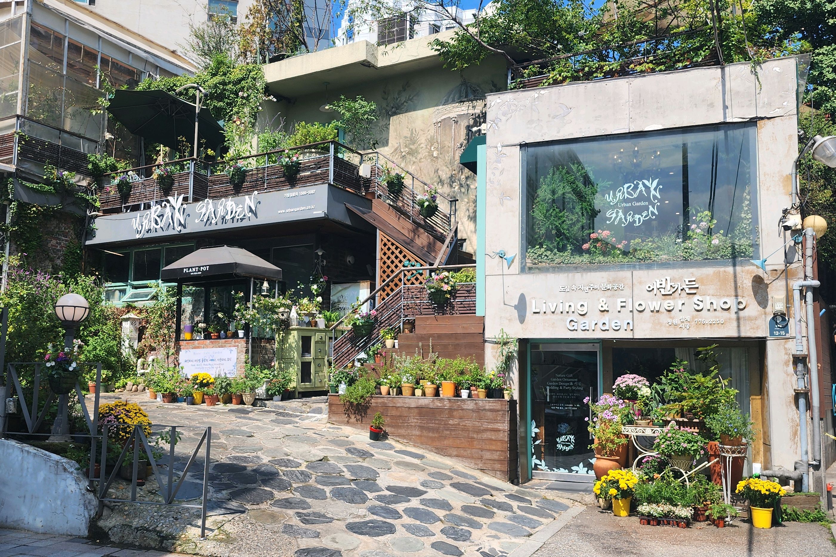 서울시 중구 소공동 맛집 정원레스토랑 어반가든