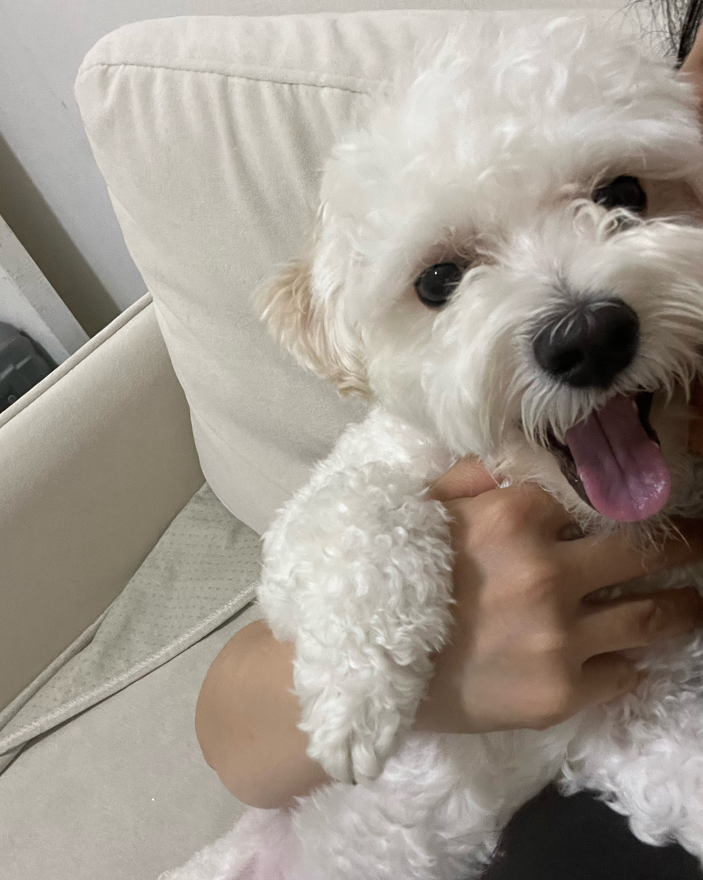 리뷰 사진 1