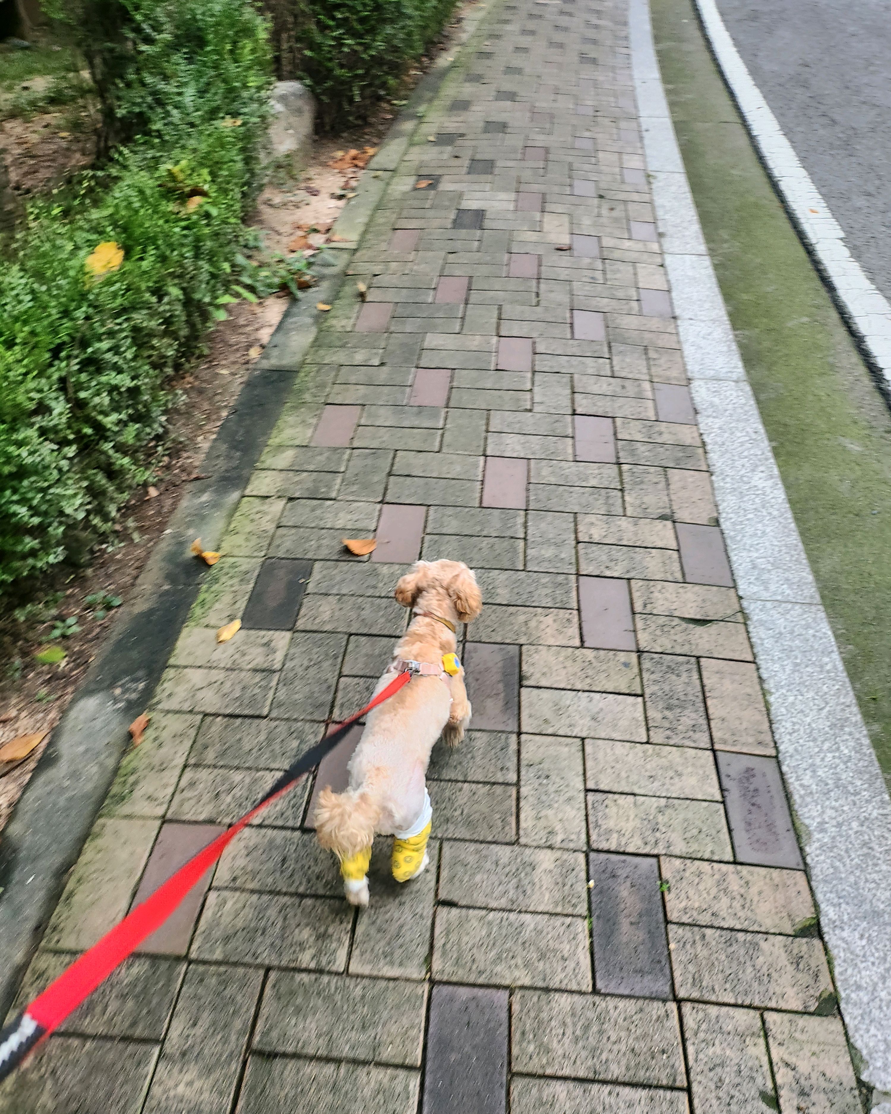 리뷰 사진 3