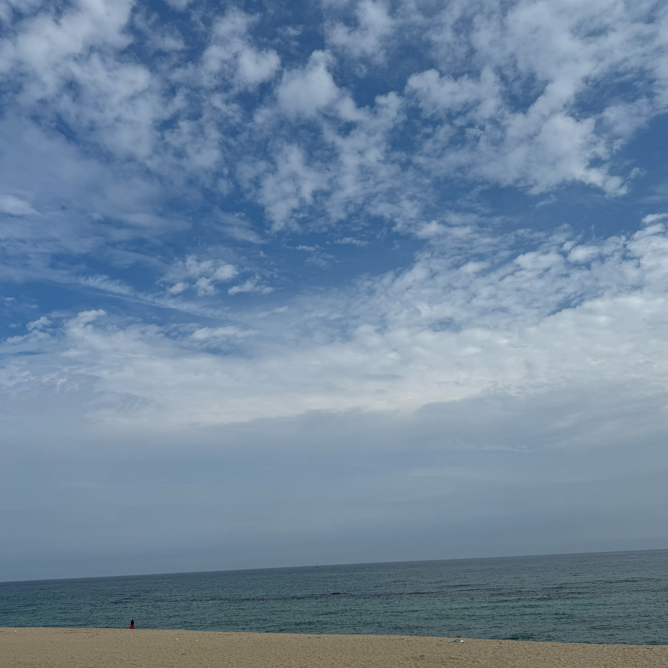 [강릉 바다뷰 에이엠브레드앤커피] 직접 가본 로컬 리뷰