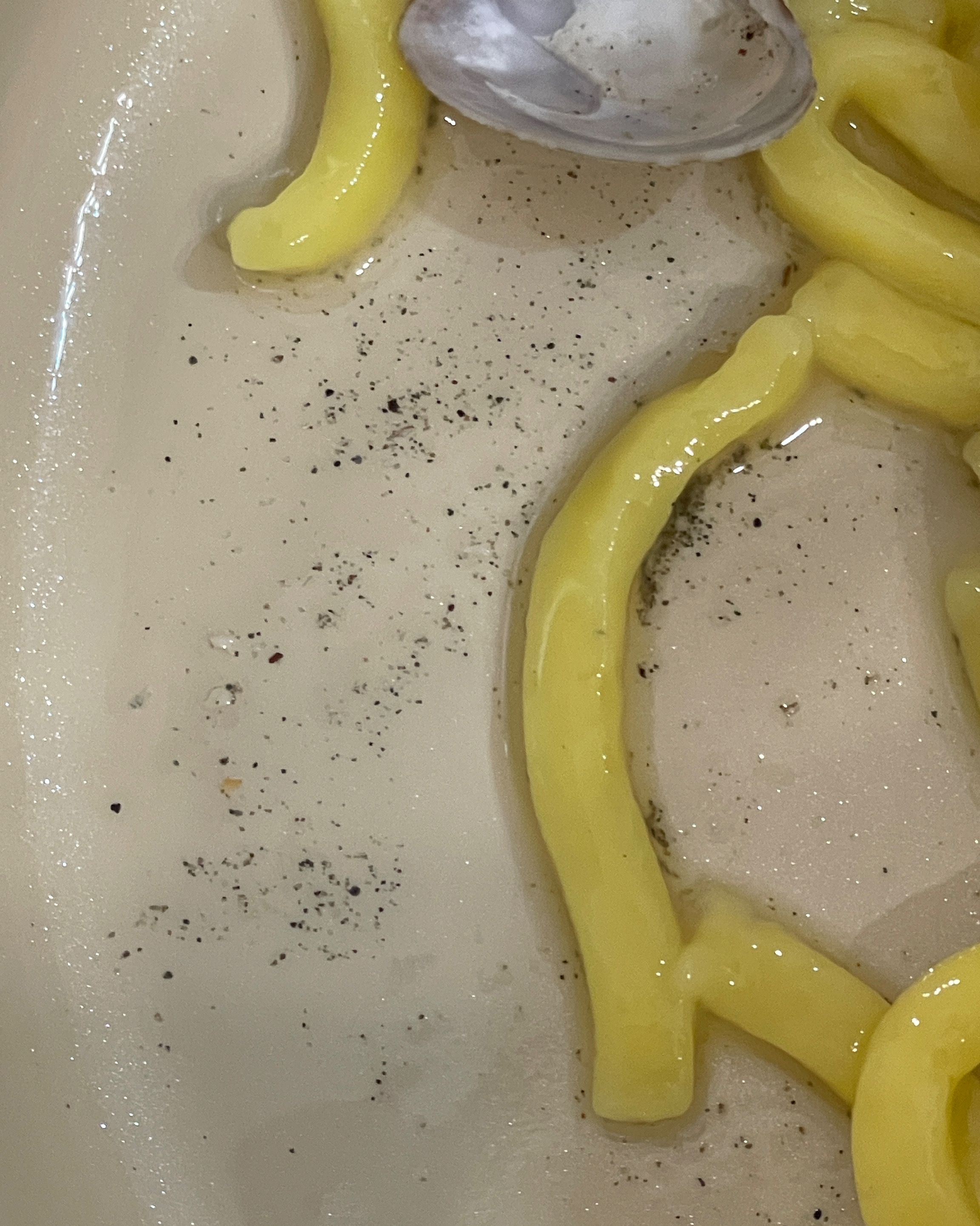 
서울시 송파구 석촌동 맛집 황도바지락칼국수