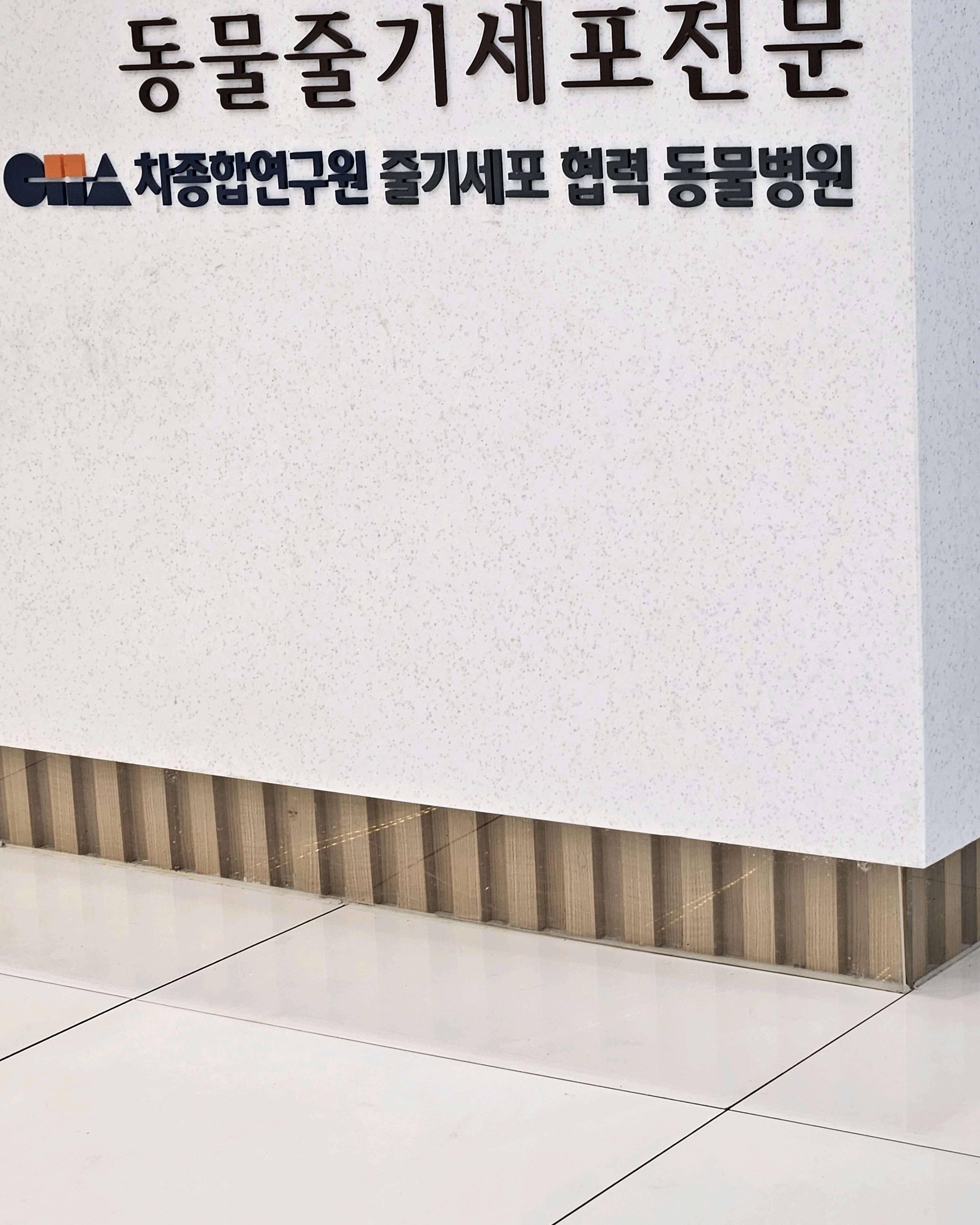 리뷰 사진 1