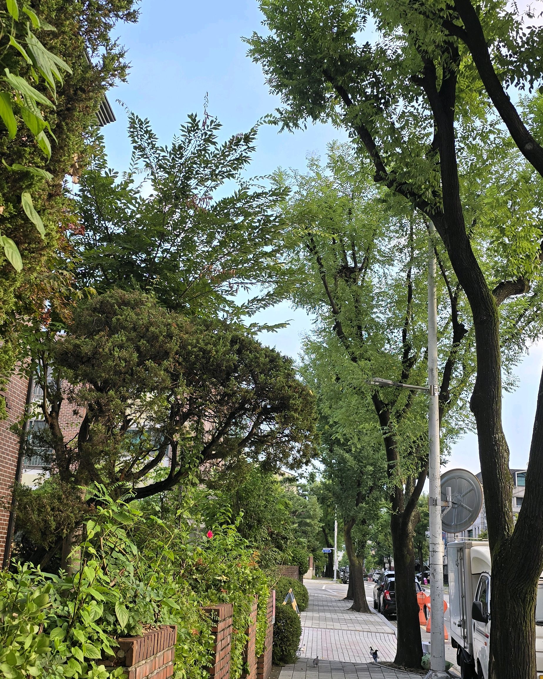 오리역 맛집 미금국수집 내돈내산 방문후기