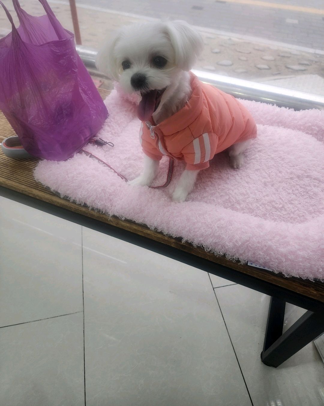 주주동물병원 사진 3