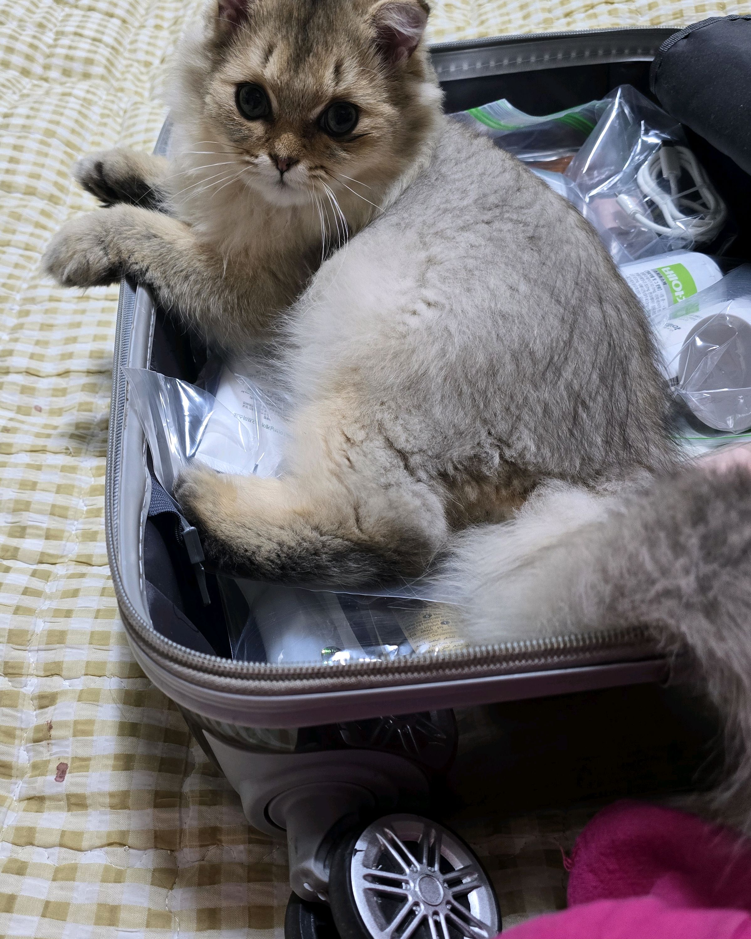 리뷰 사진 1