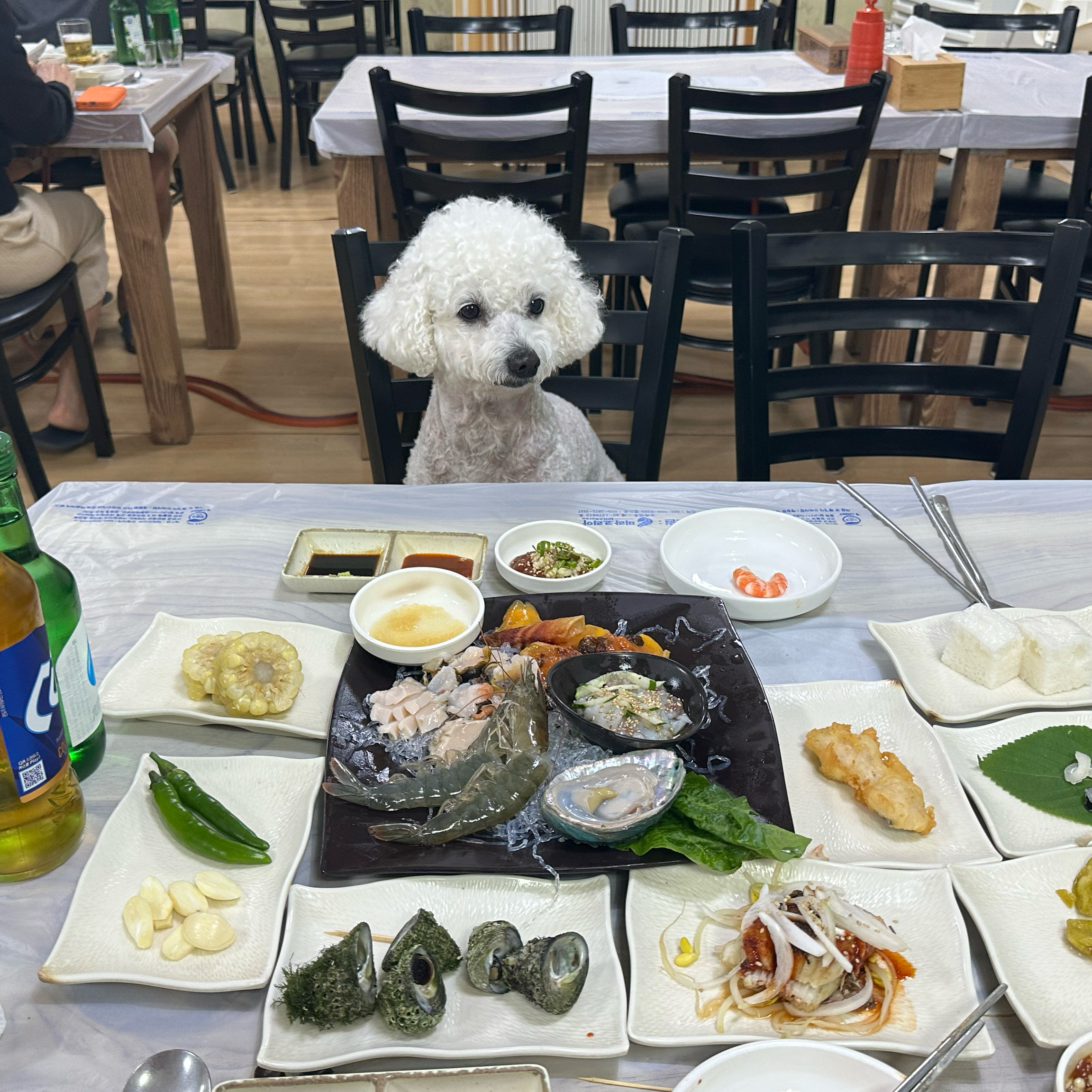 [여수 맛집 바다세상] 직접 가본 로컬 리뷰