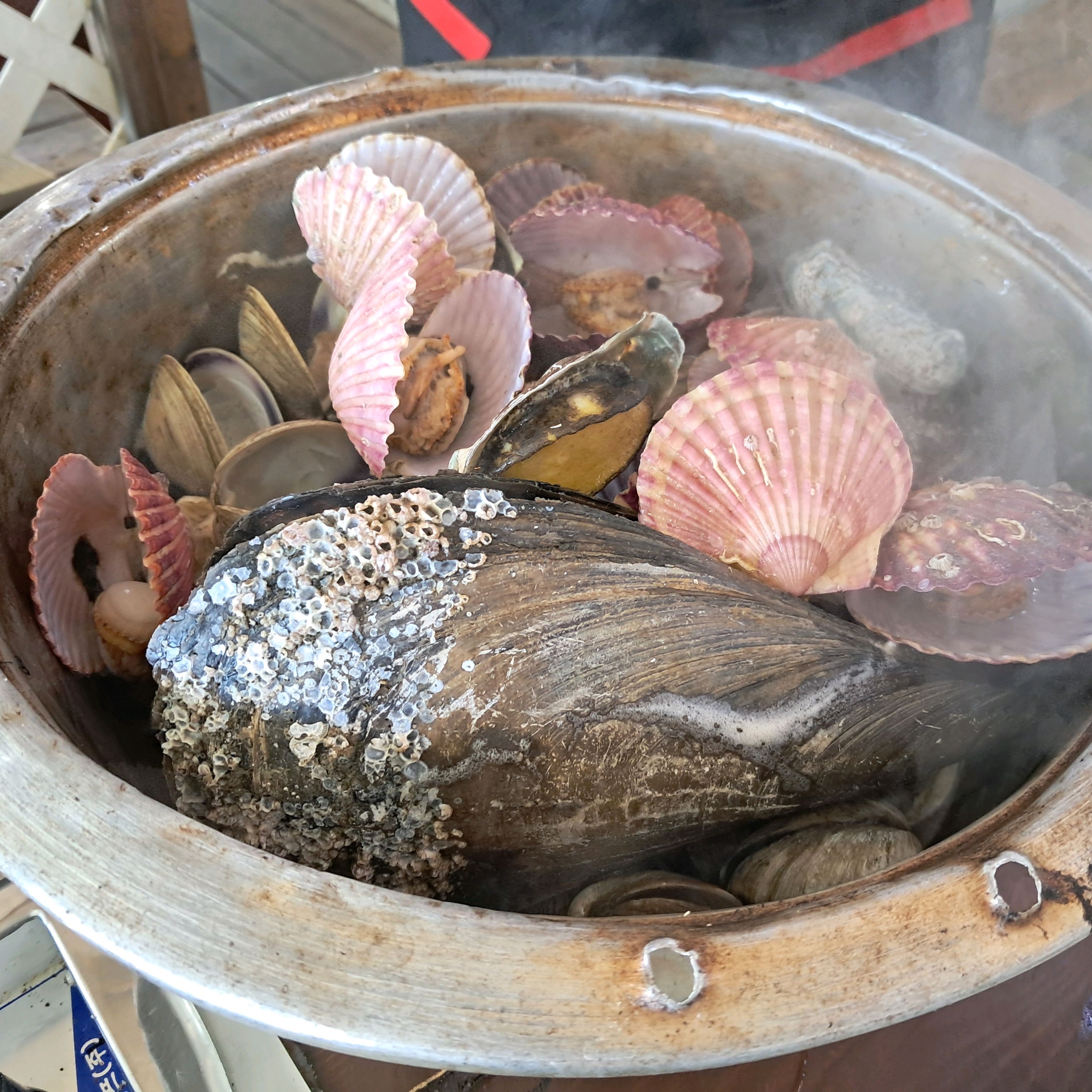 [제부도 맛집 조개들의 입맞춤] 직접 가본 로컬 리뷰